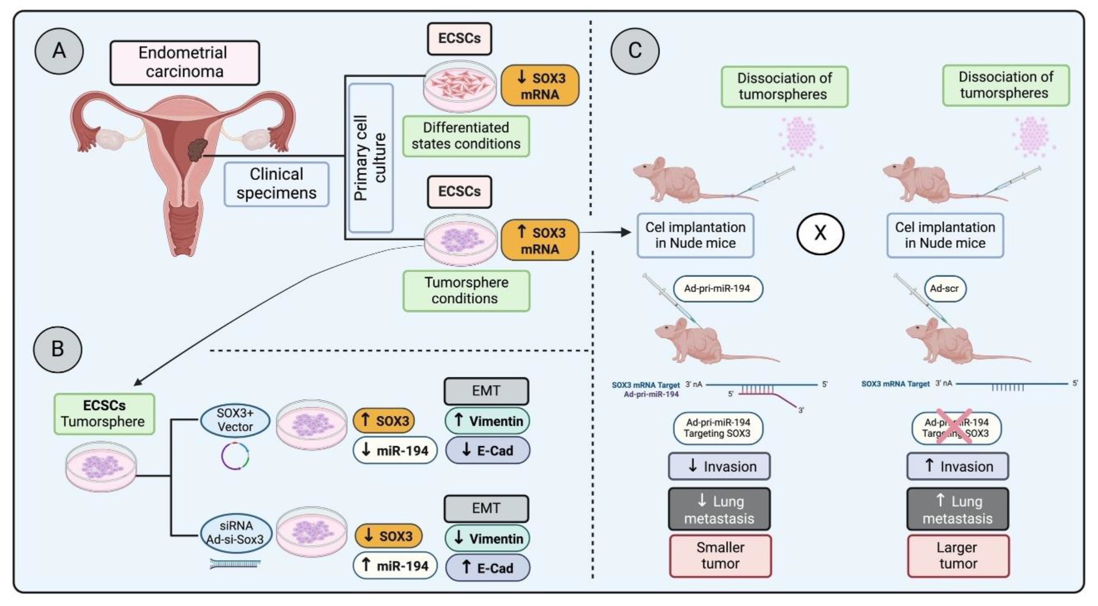 Preprints 104111 g002