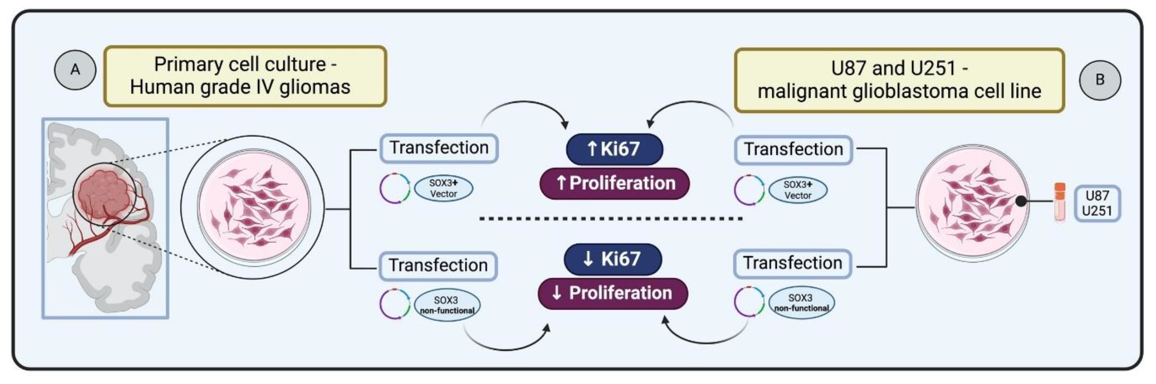 Preprints 104111 g003