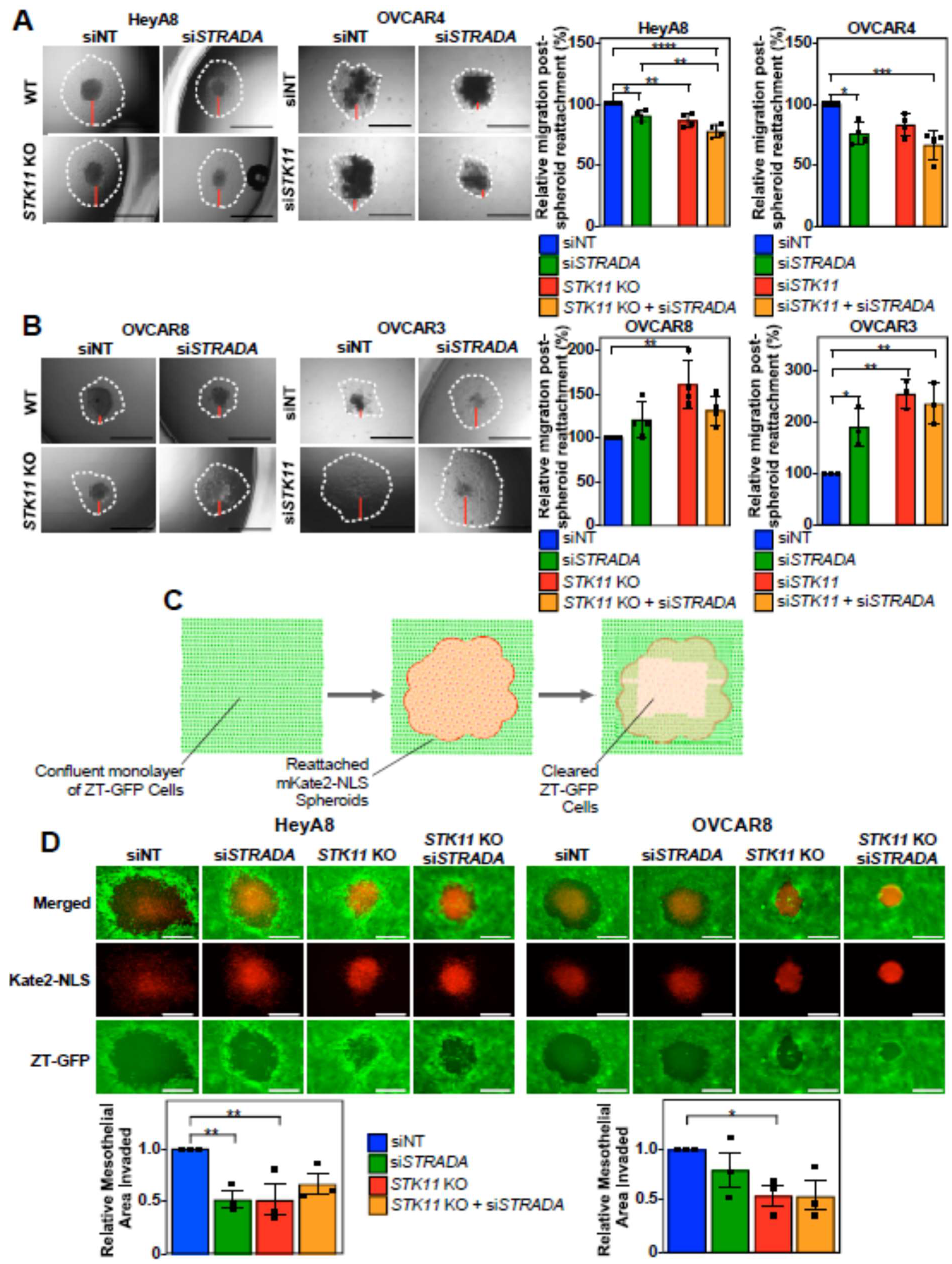 Preprints 117750 g002