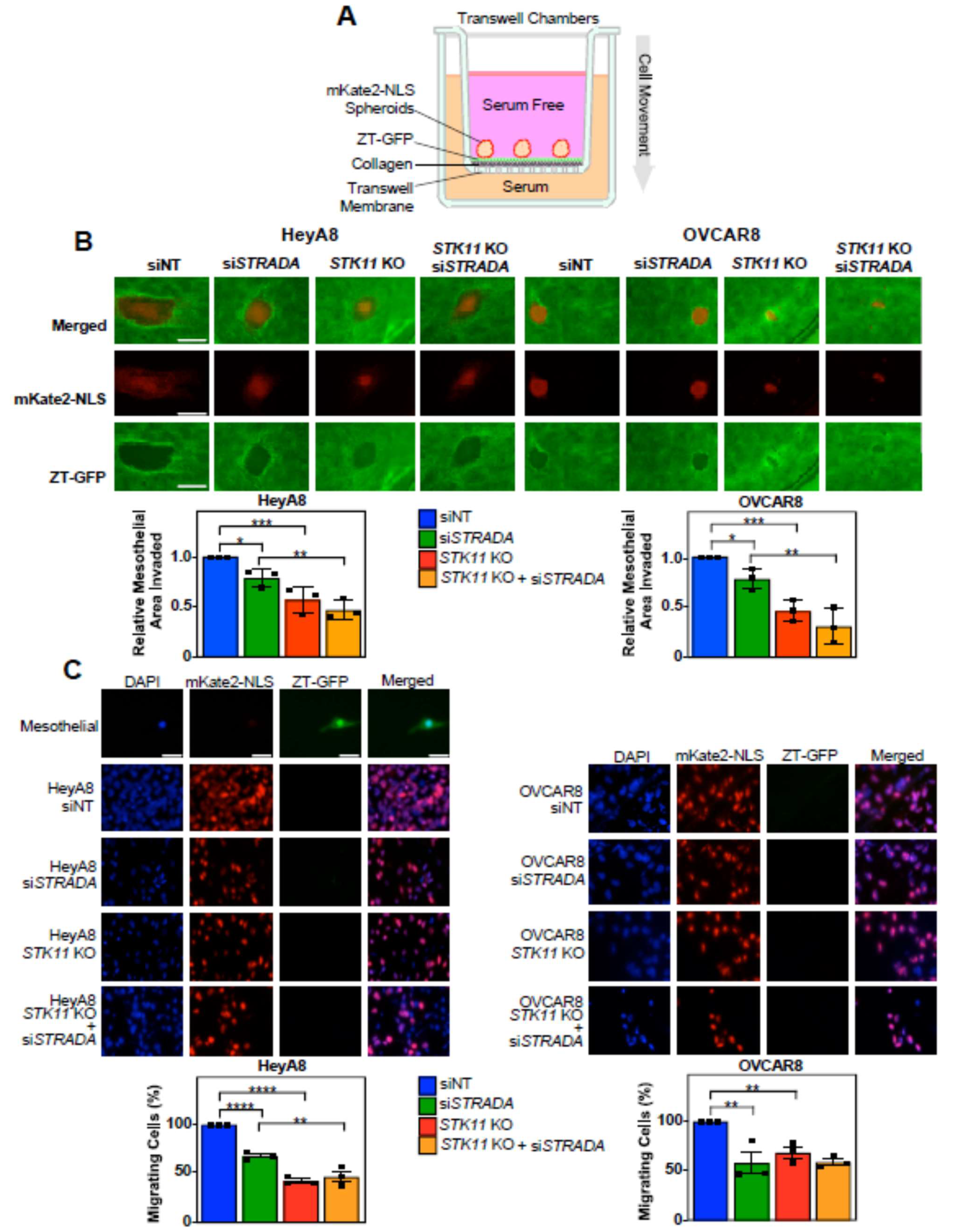 Preprints 117750 g003