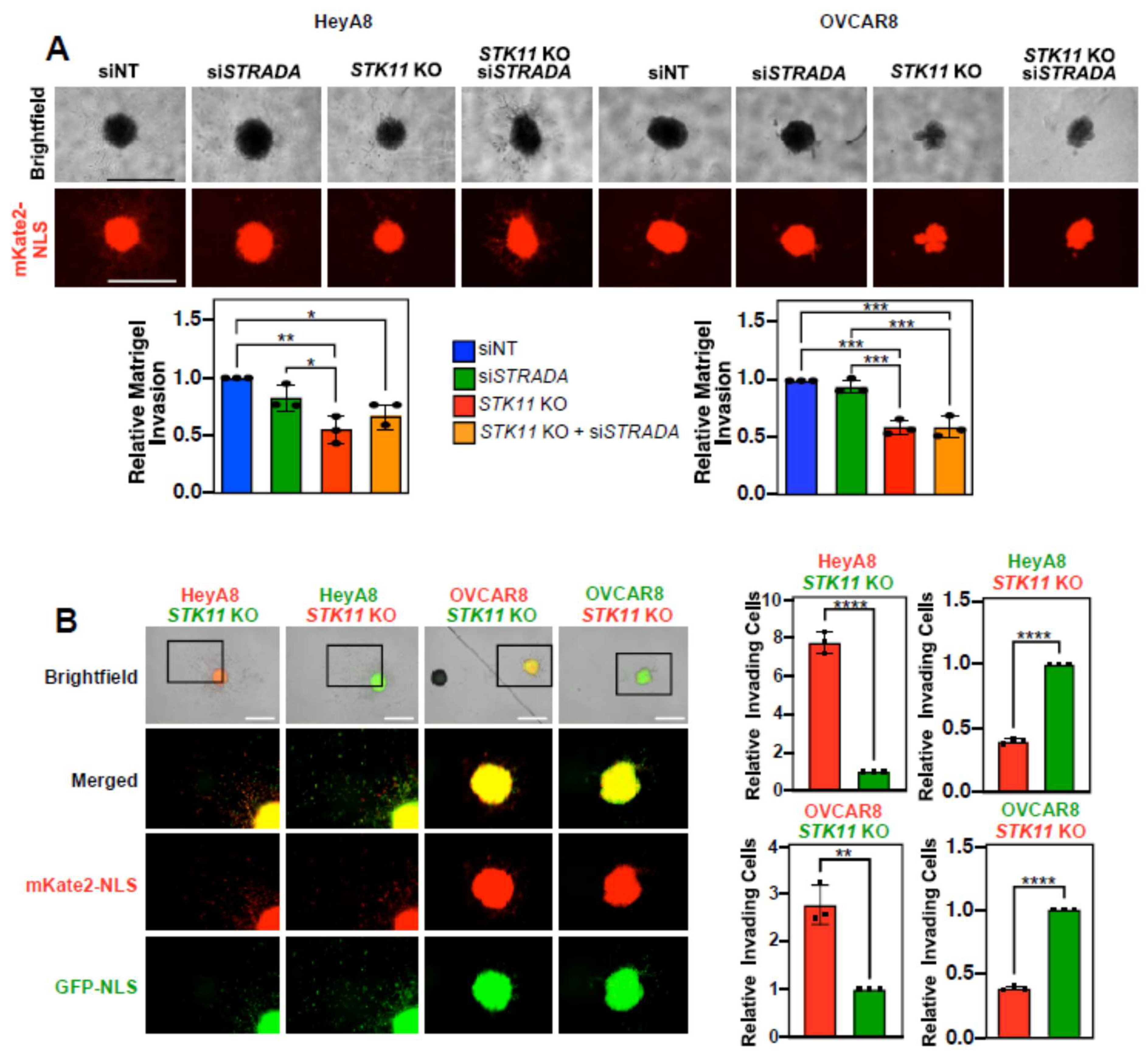 Preprints 117750 g004