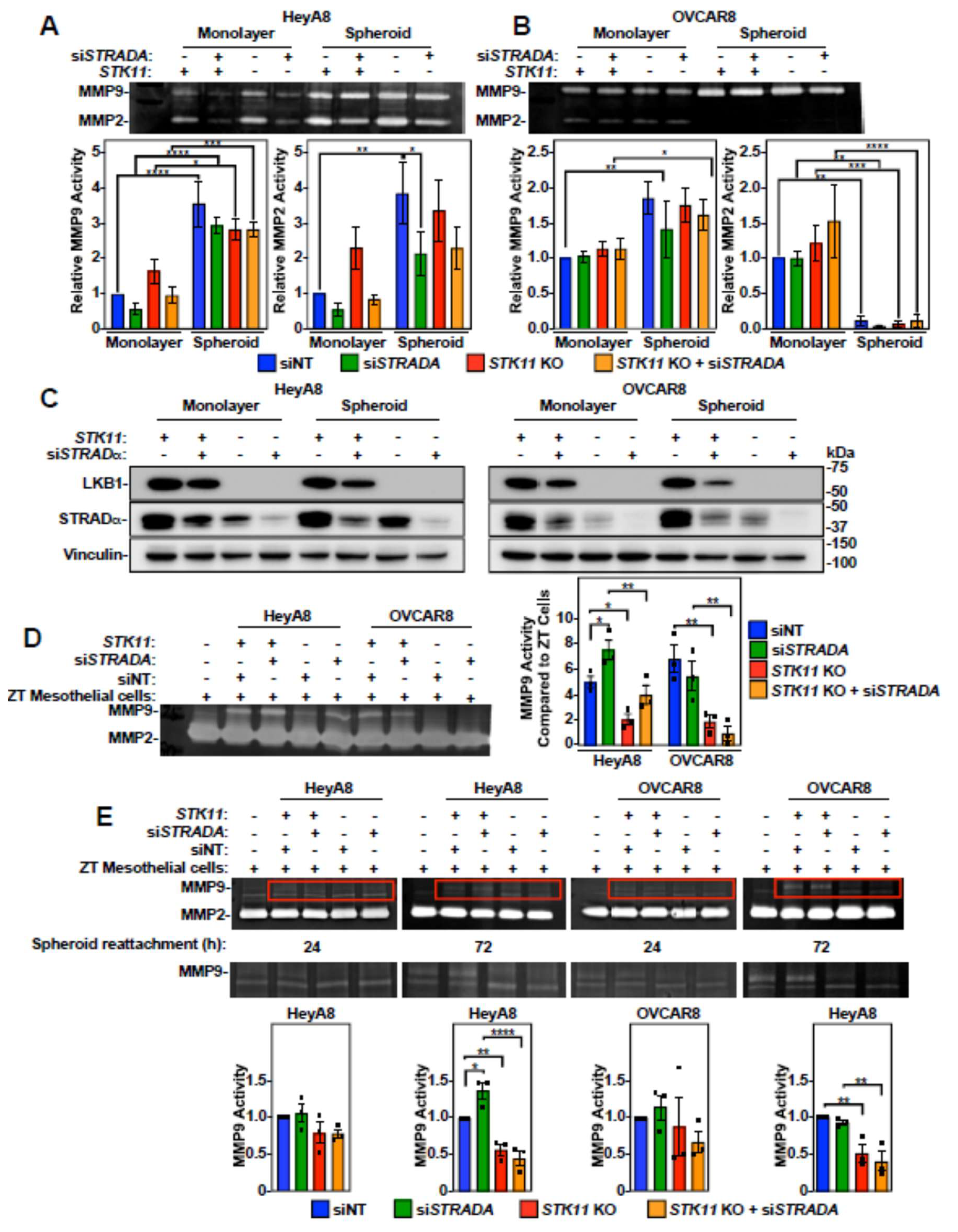 Preprints 117750 g005