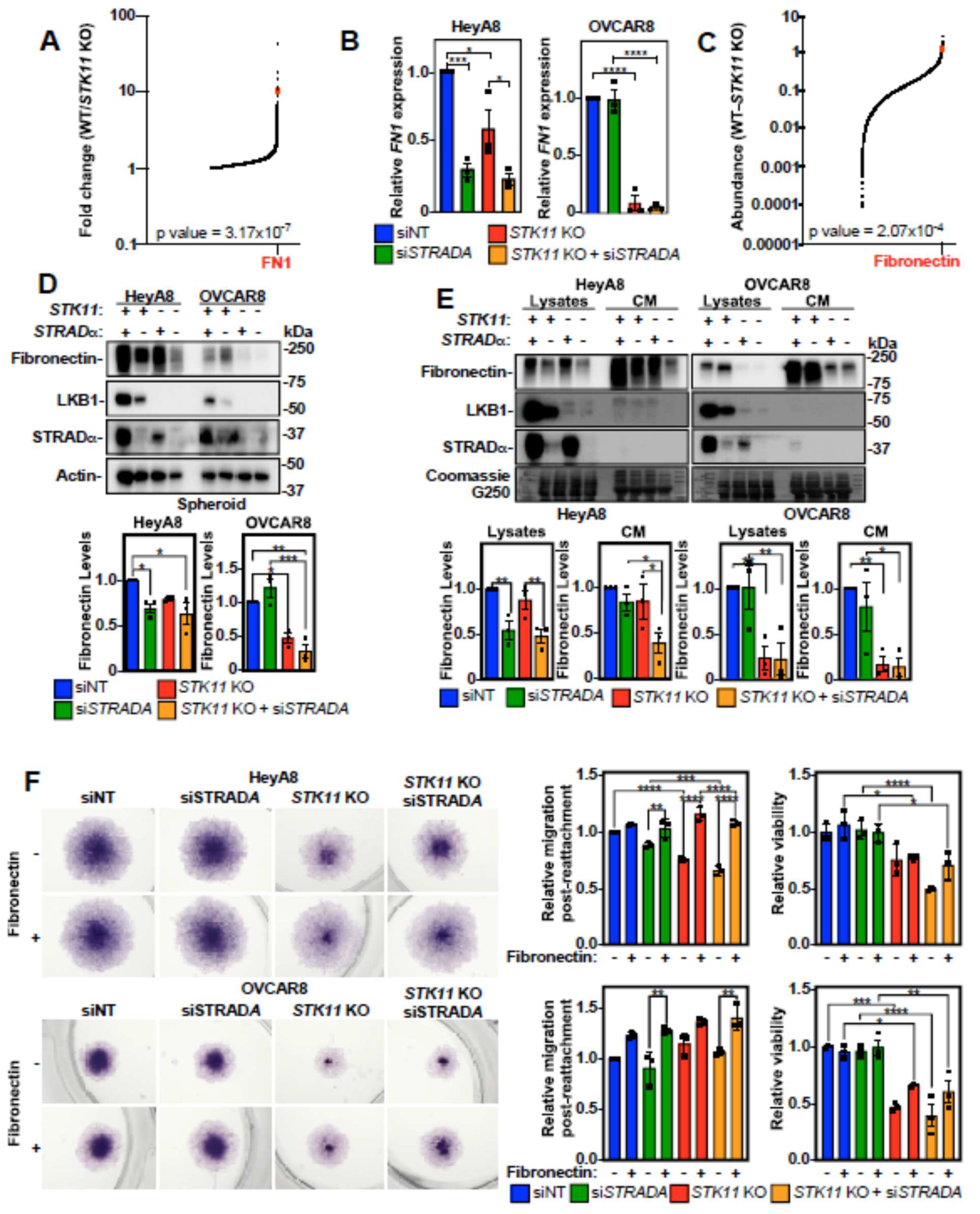 Preprints 117750 g006