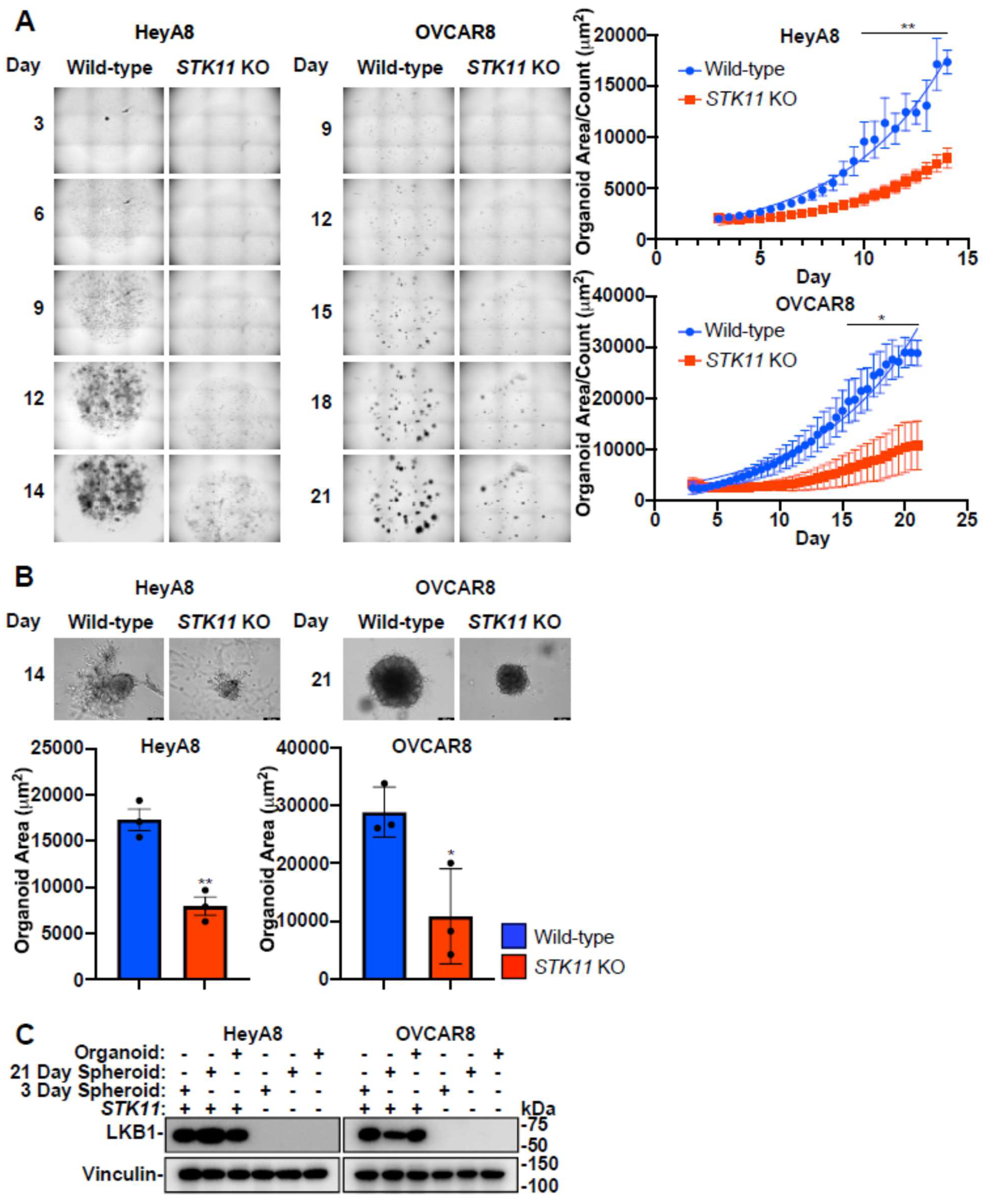 Preprints 117750 g007