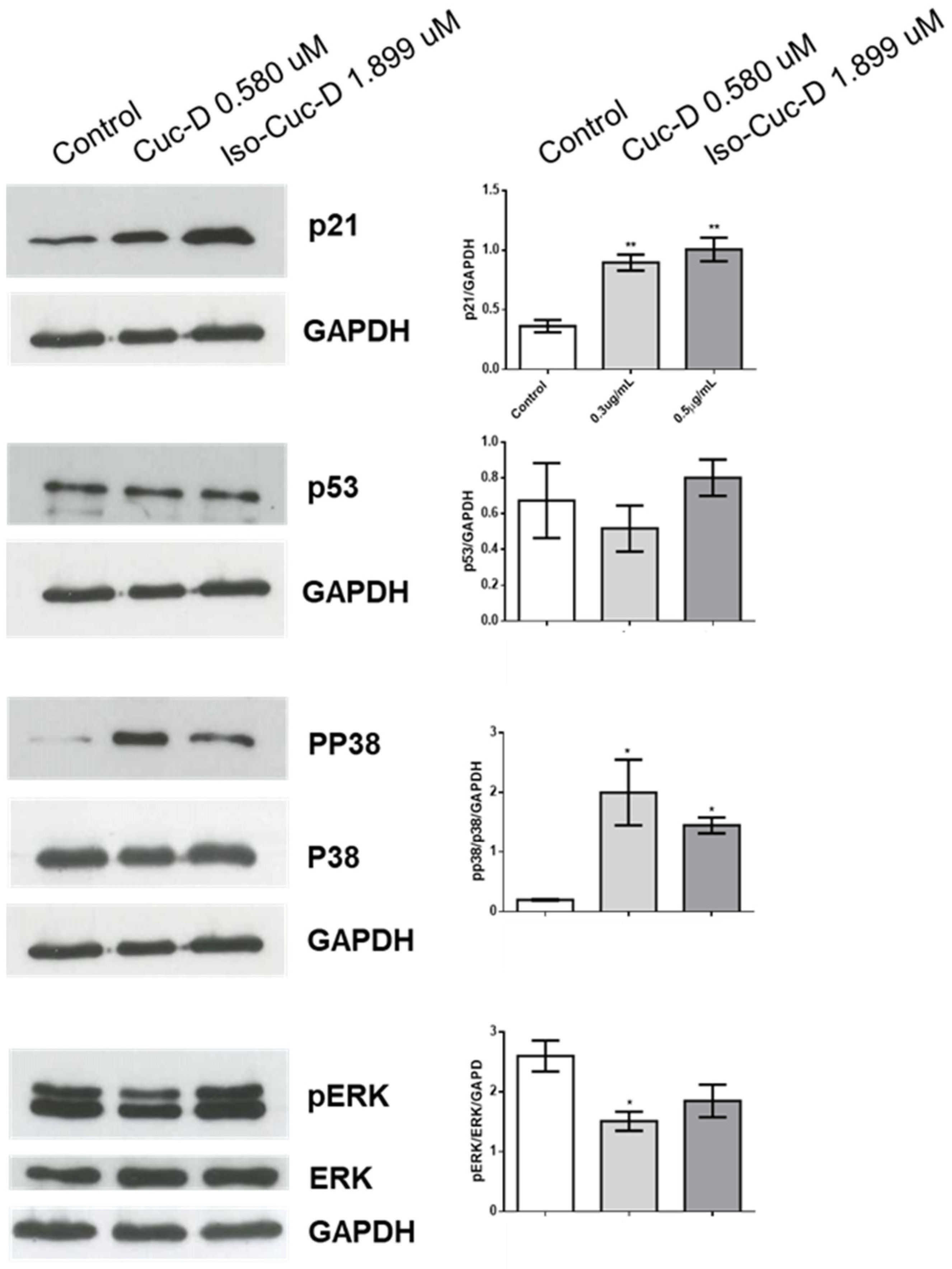 Preprints 117497 g004