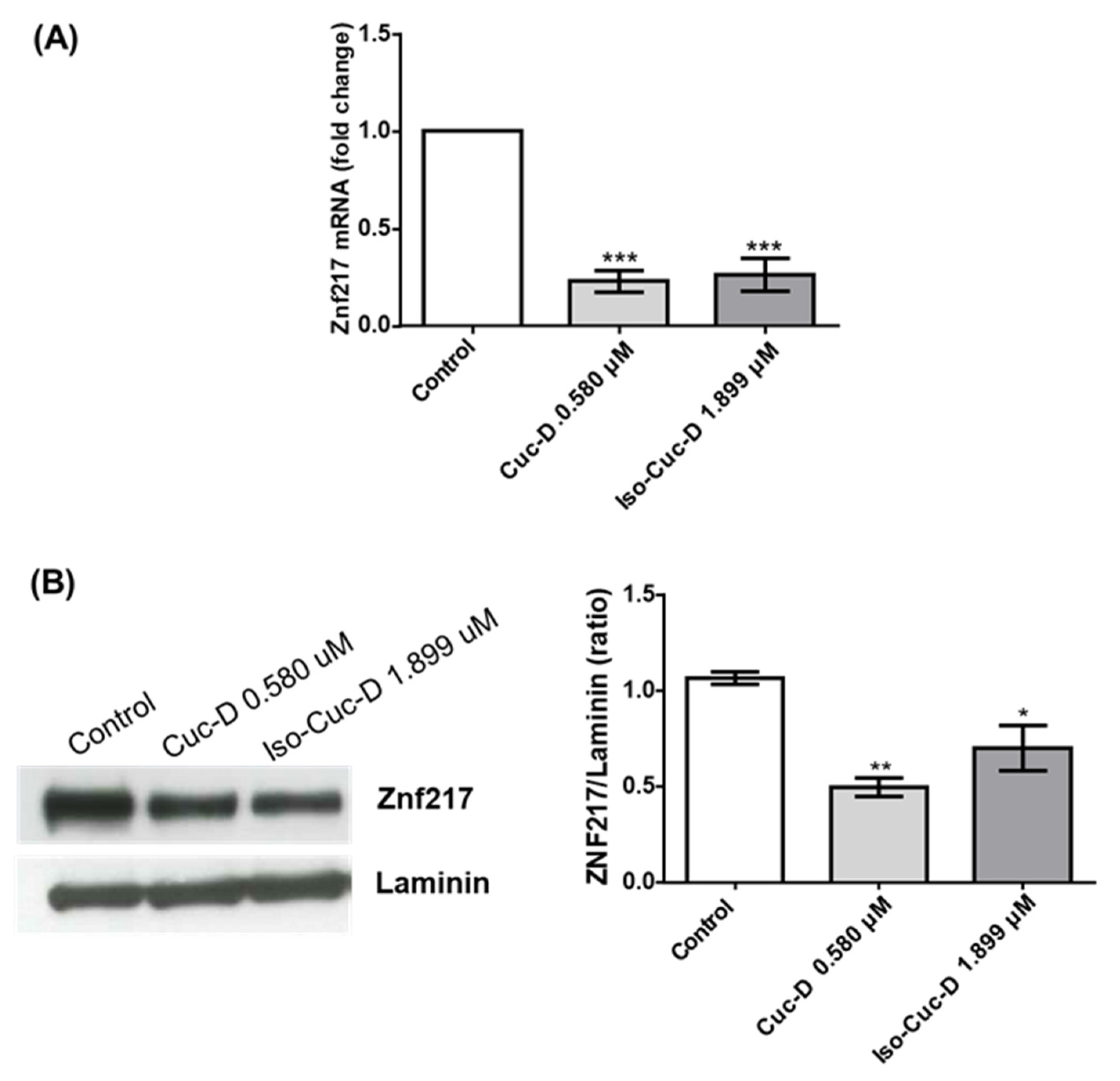 Preprints 117497 g005