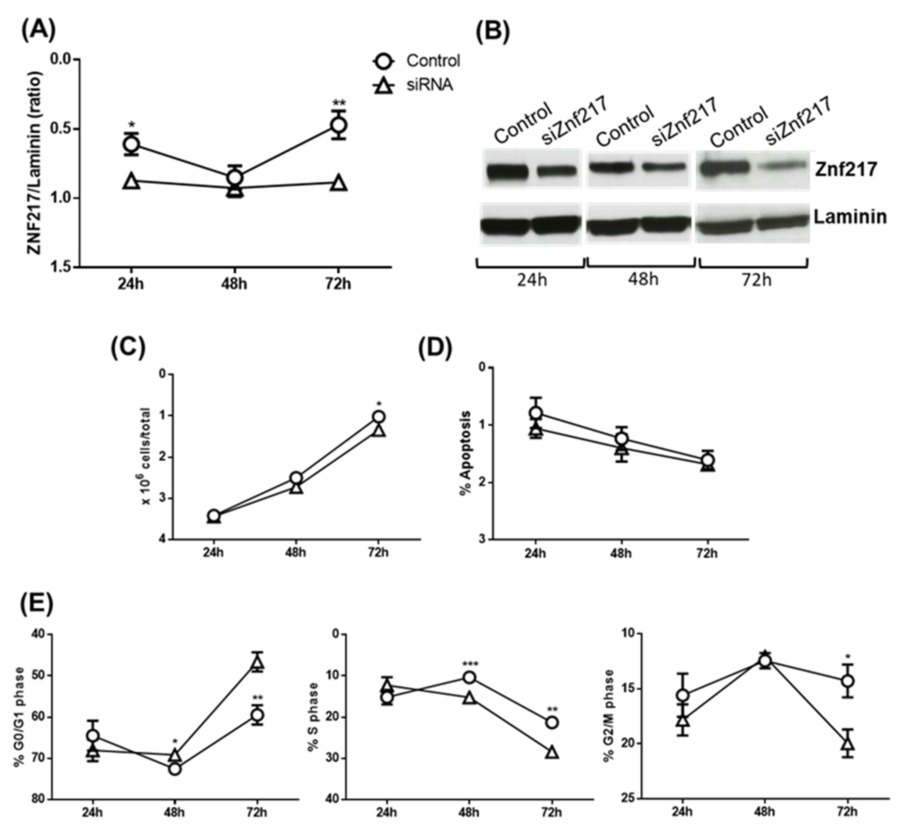 Preprints 117497 g007