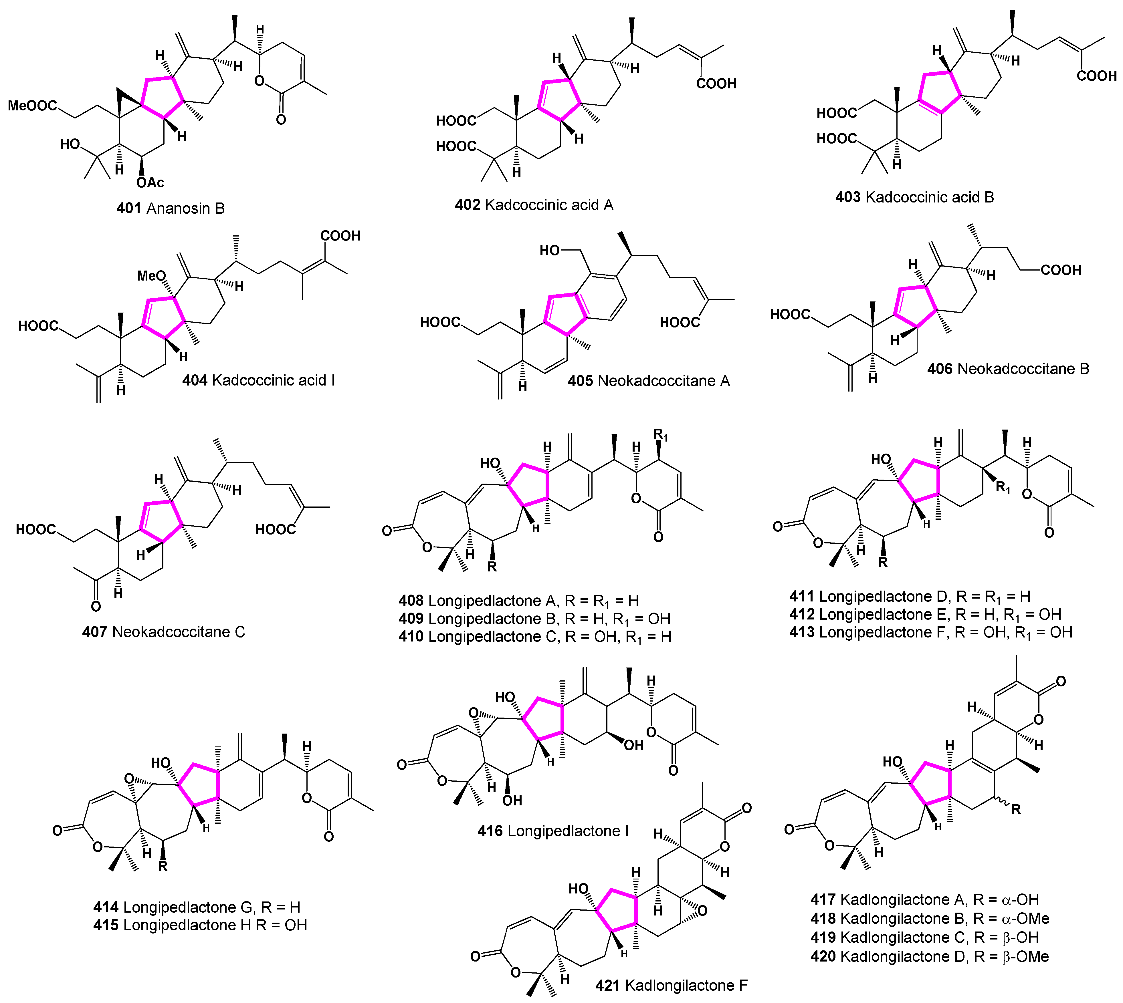 Preprints 104031 g028