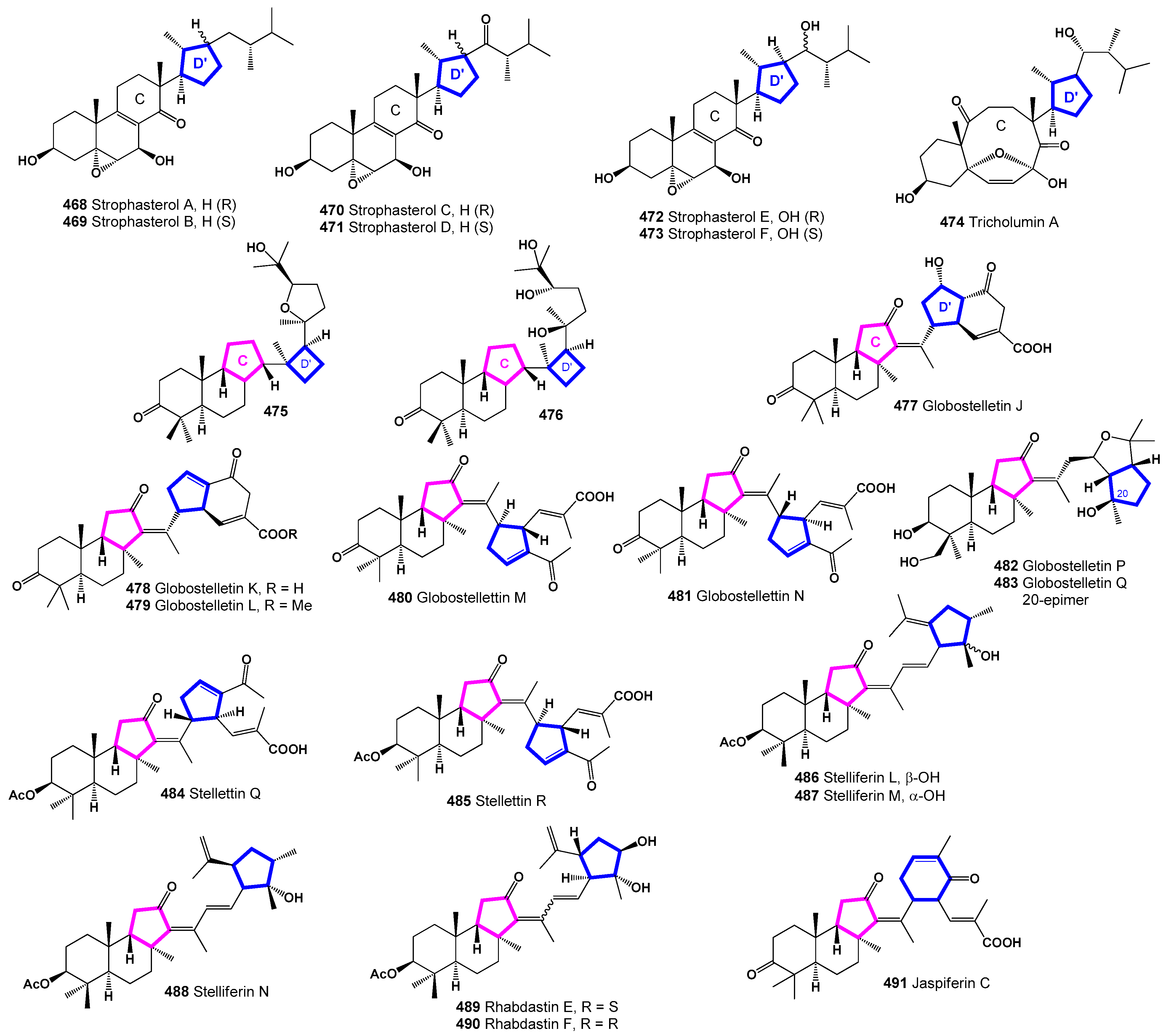 Preprints 104031 g032