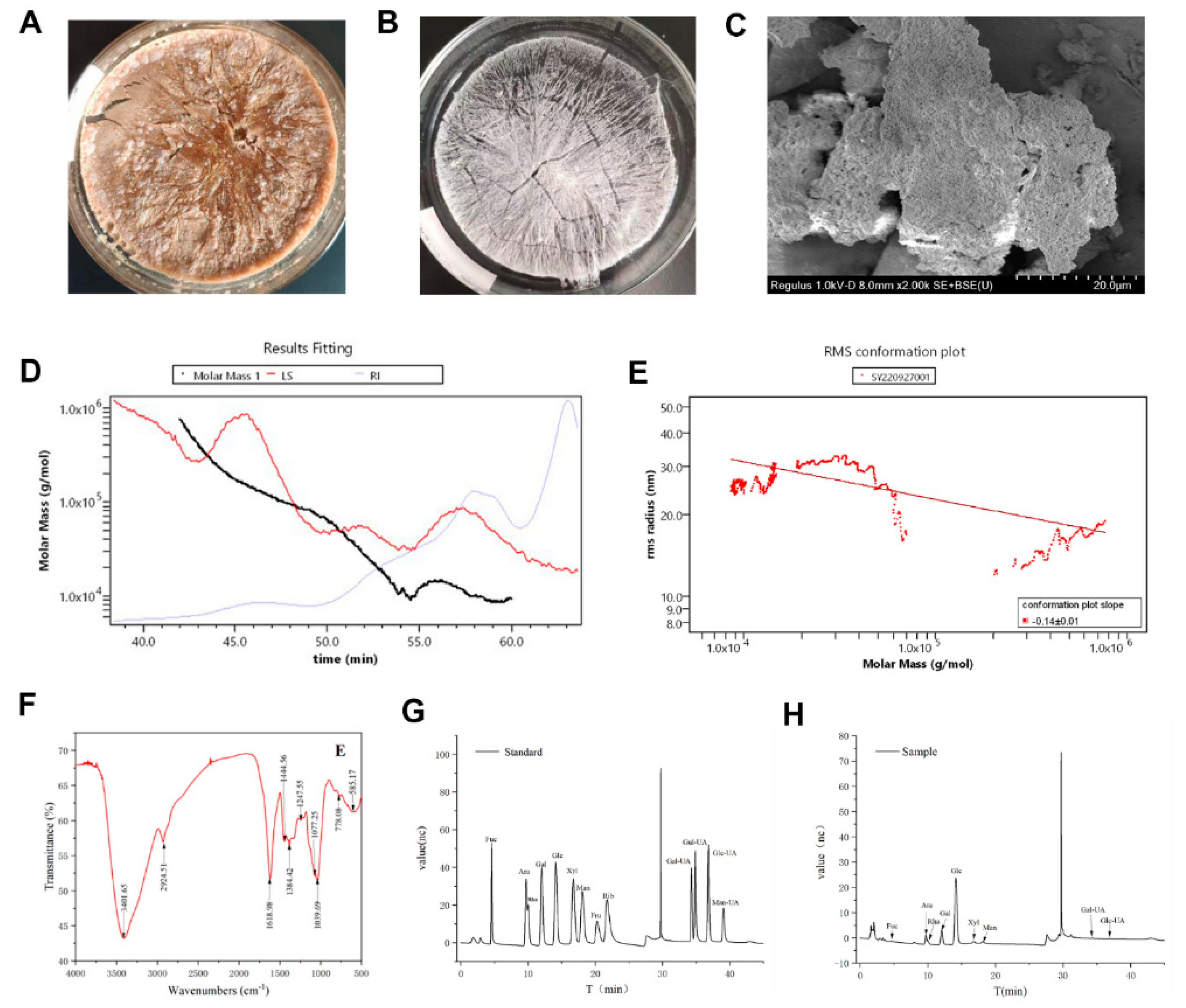 Preprints 96759 g001