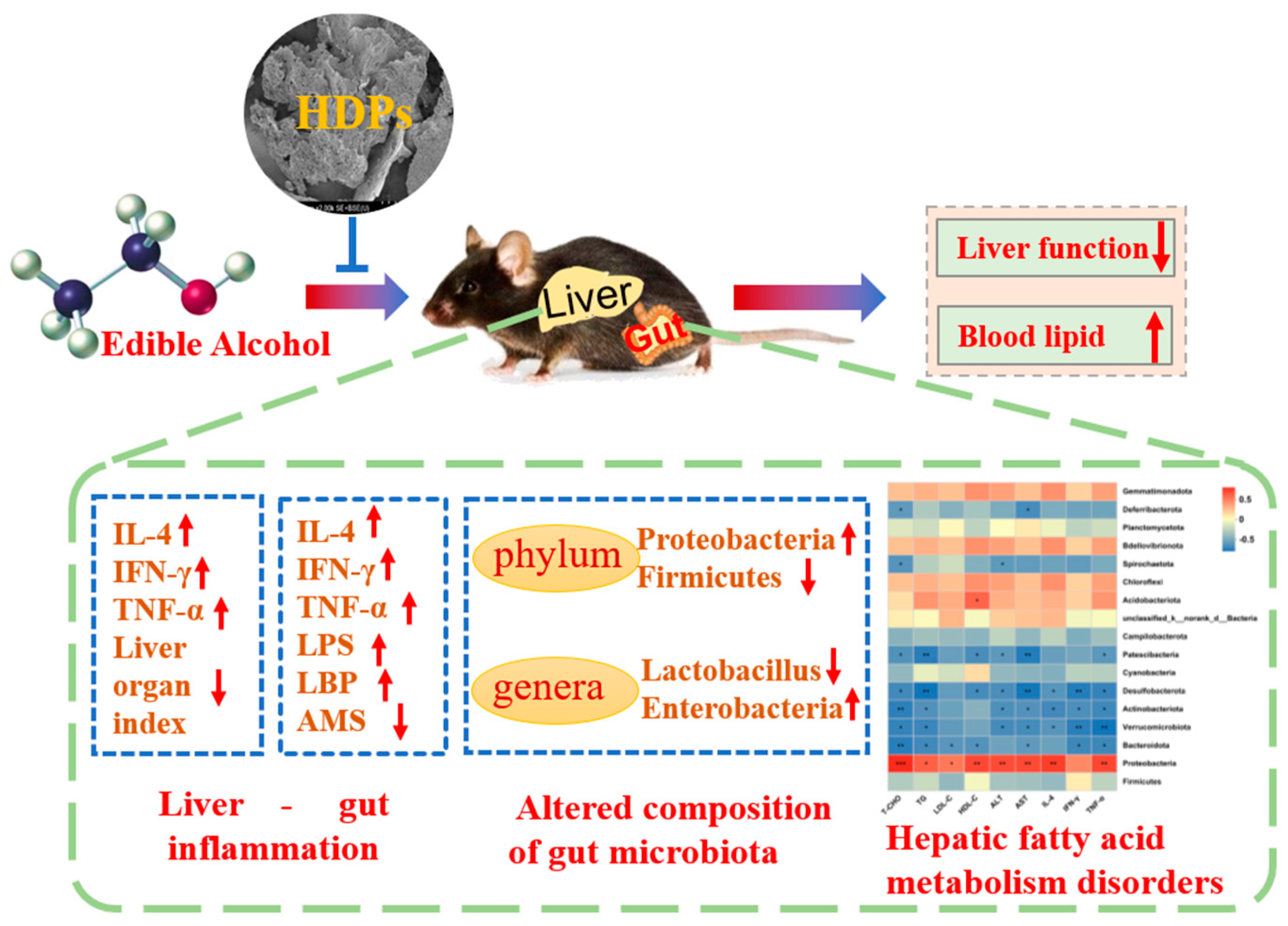 Preprints 96759 g009