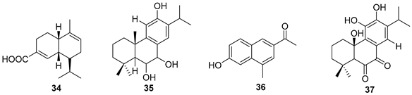 Preprints 91704 i007