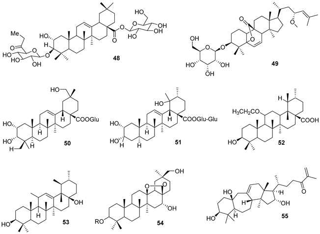 Preprints 91704 i010