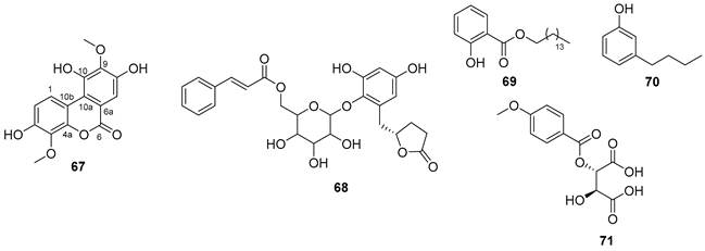 Preprints 91704 i014