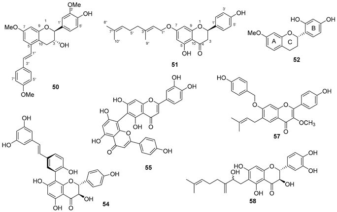 Preprints 91704 i015