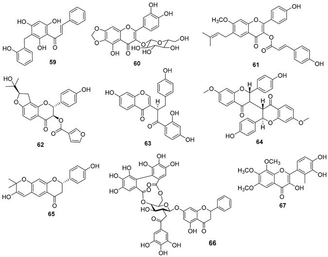 Preprints 91704 i016