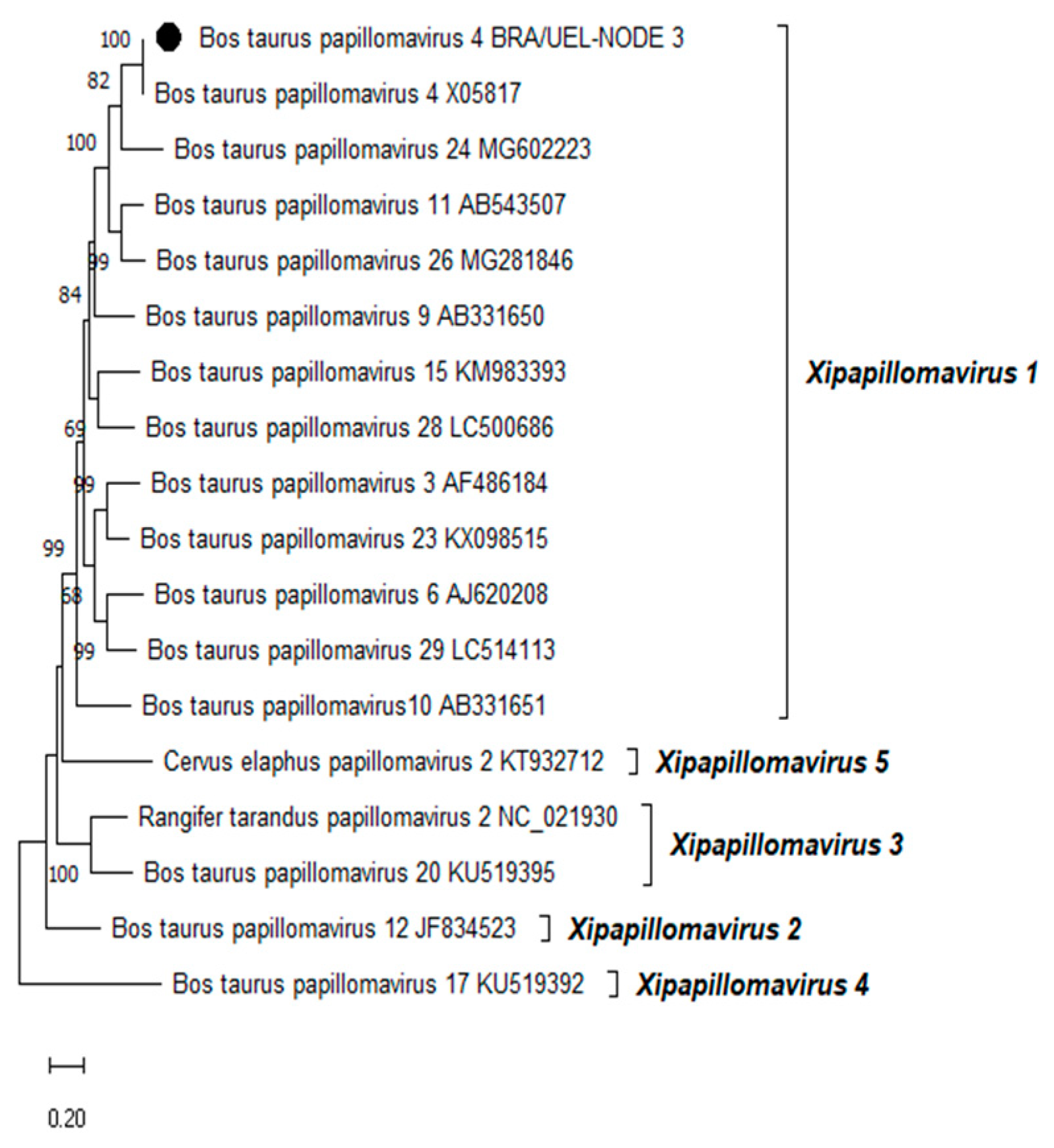 Preprints 114500 g002