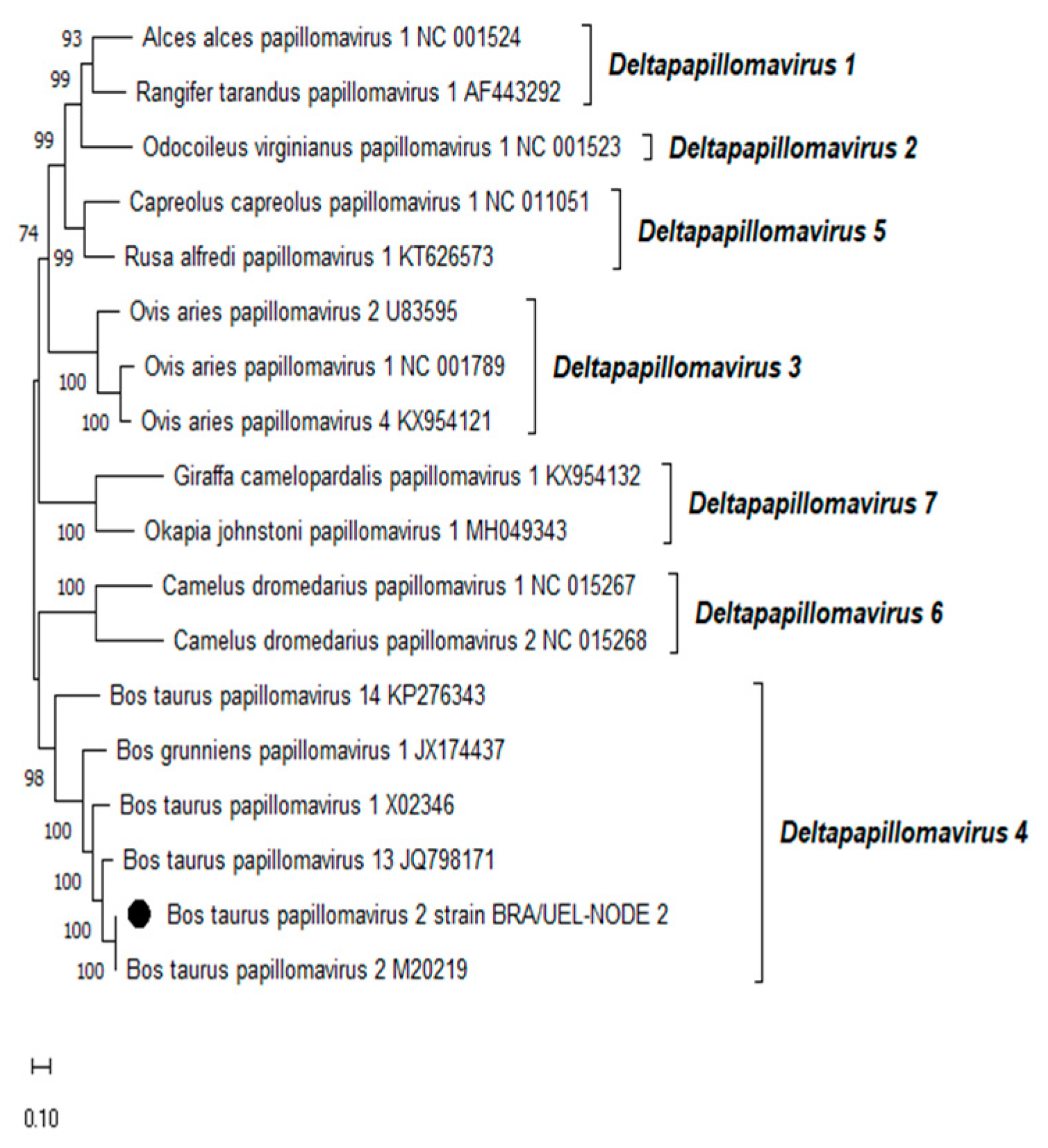 Preprints 114500 g003