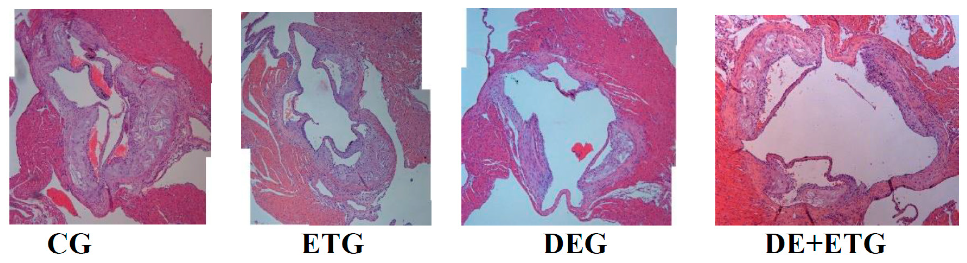 Preprints 85612 g001