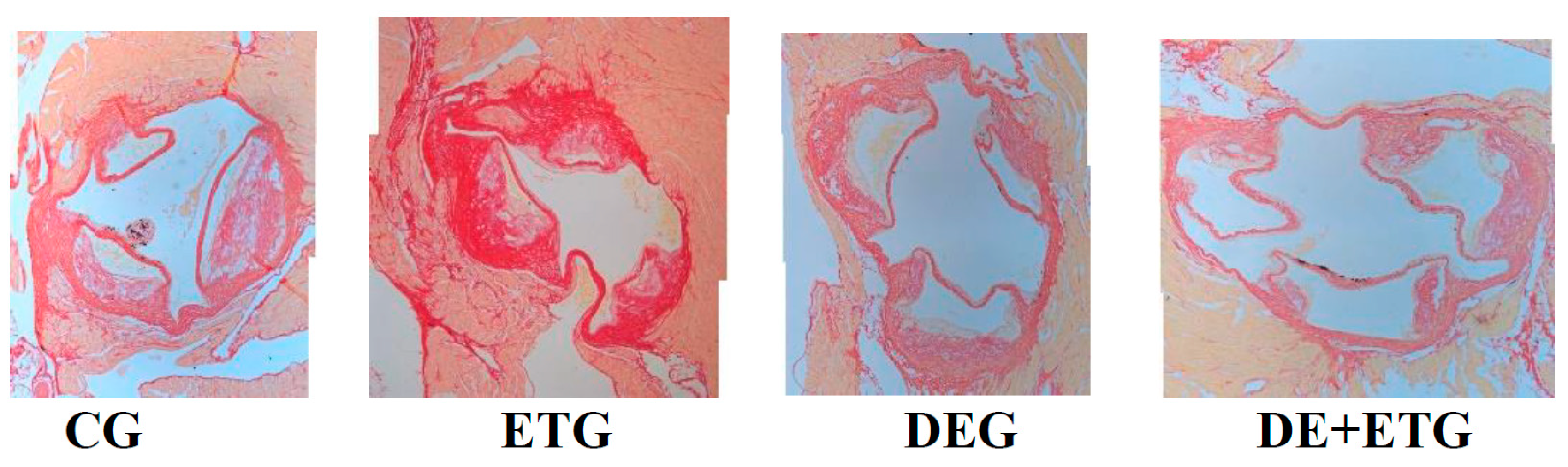 Preprints 85612 g002