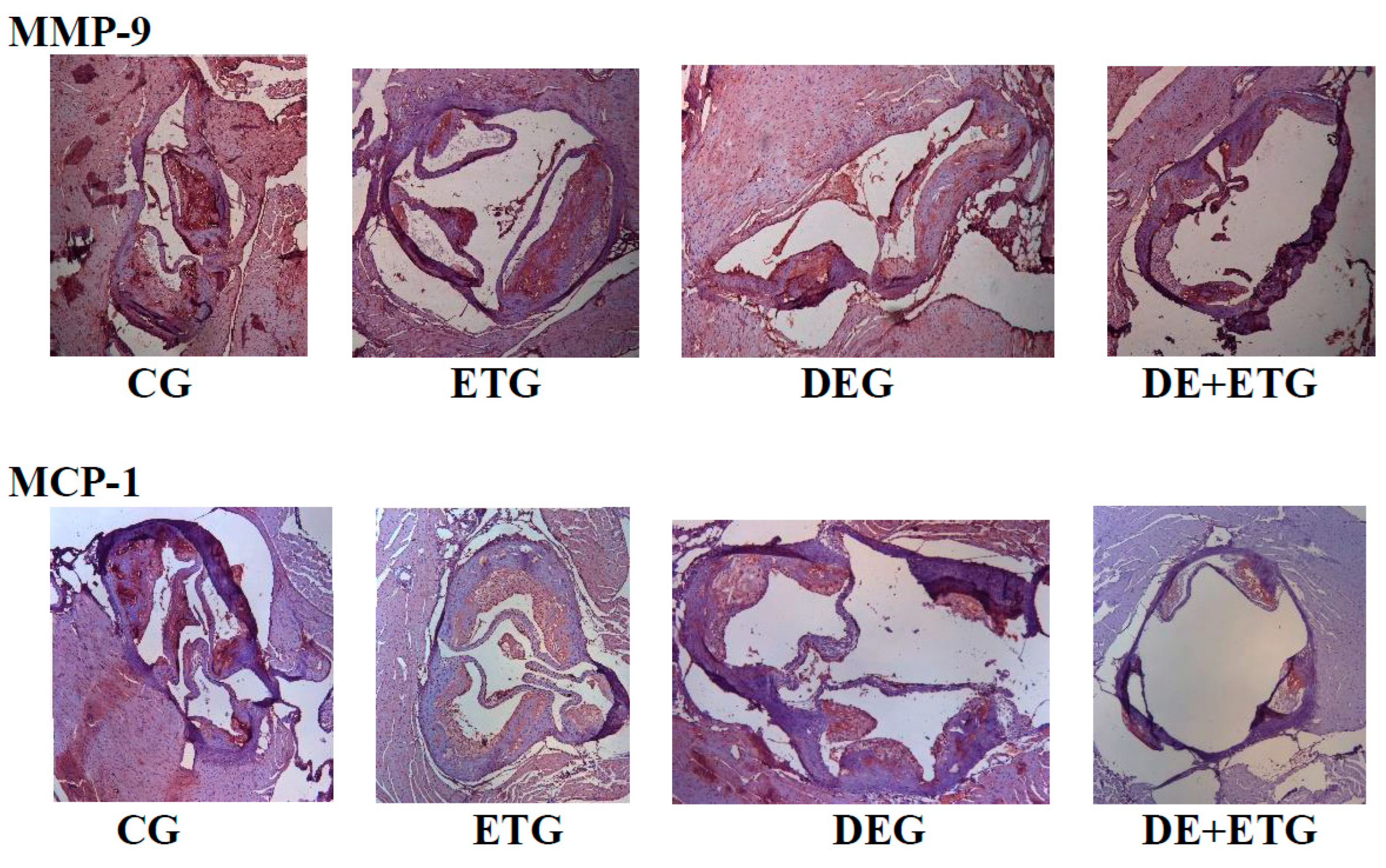 Preprints 85612 g004