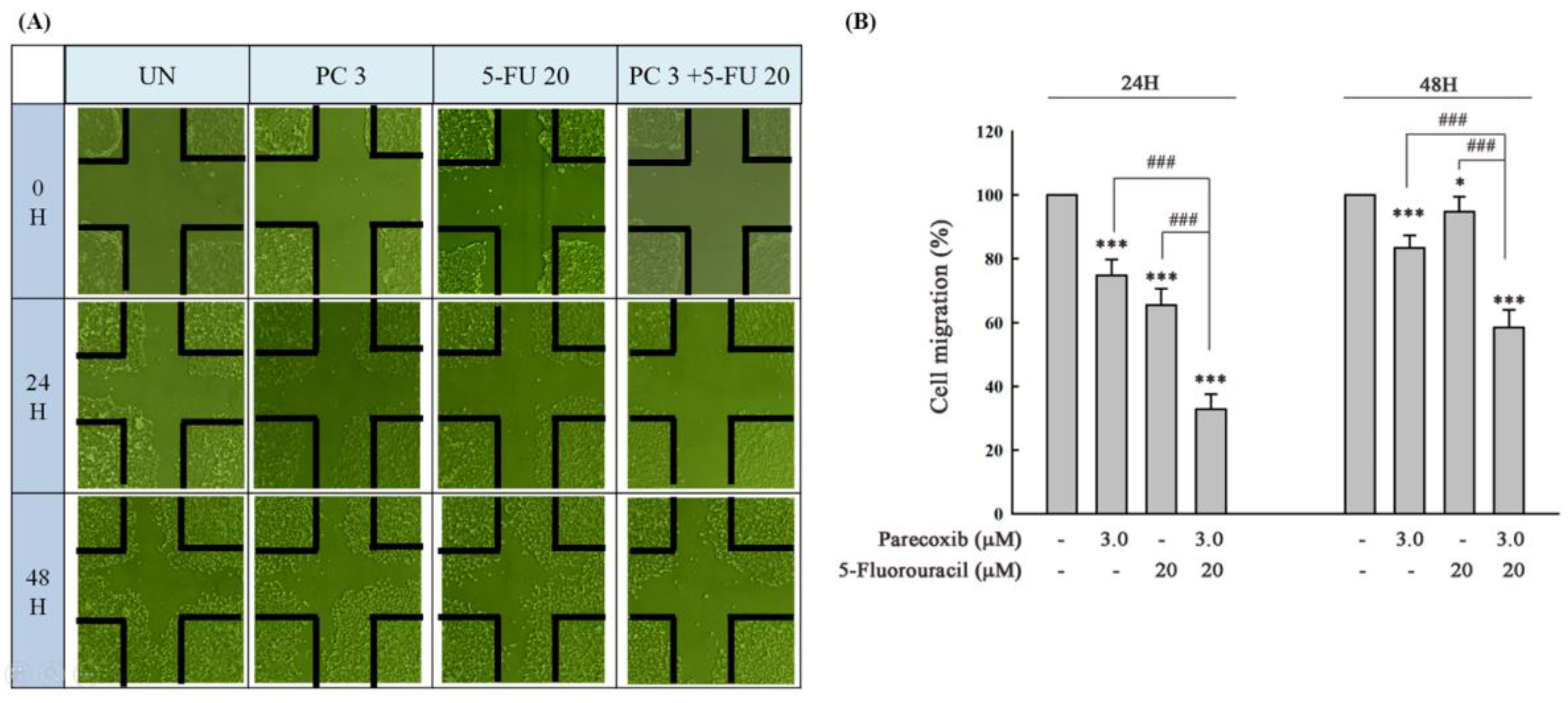 Preprints 107682 g003