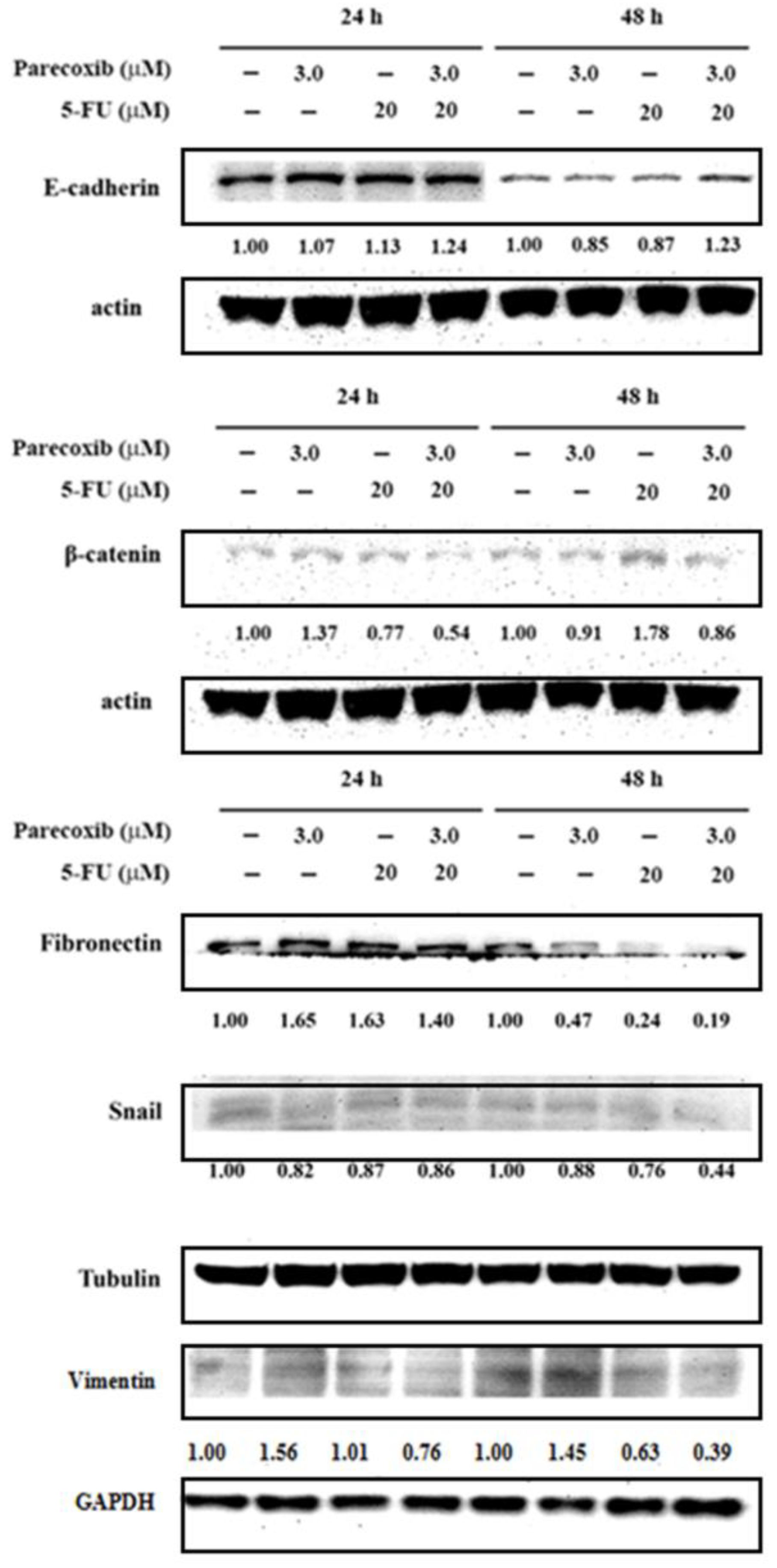 Preprints 107682 g004