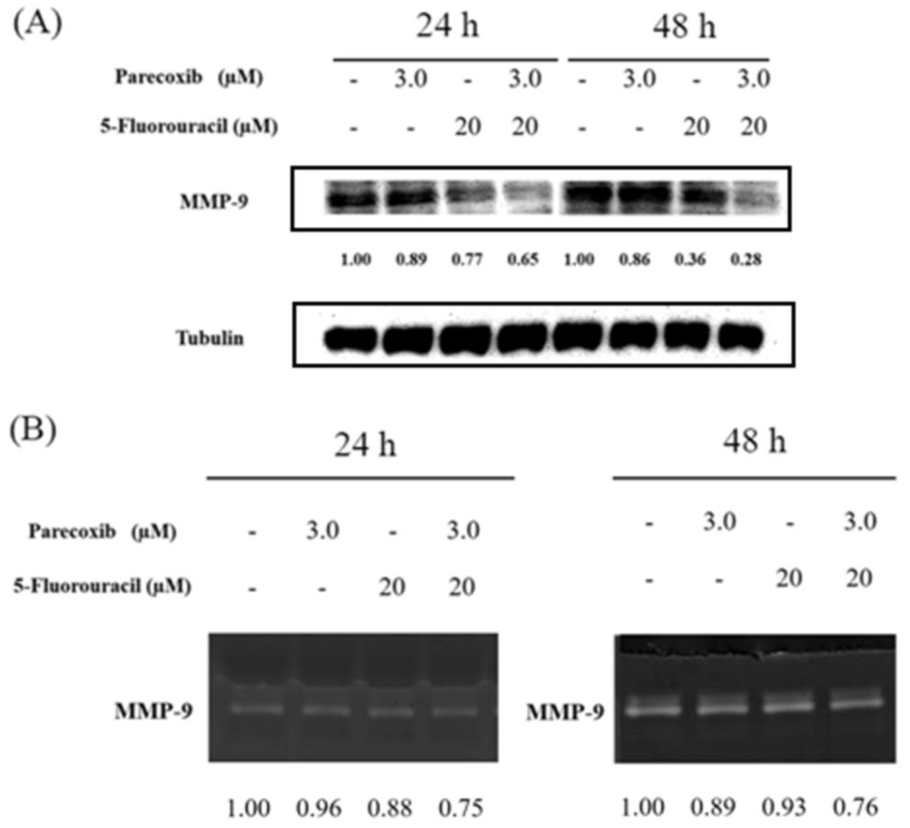 Preprints 107682 g005