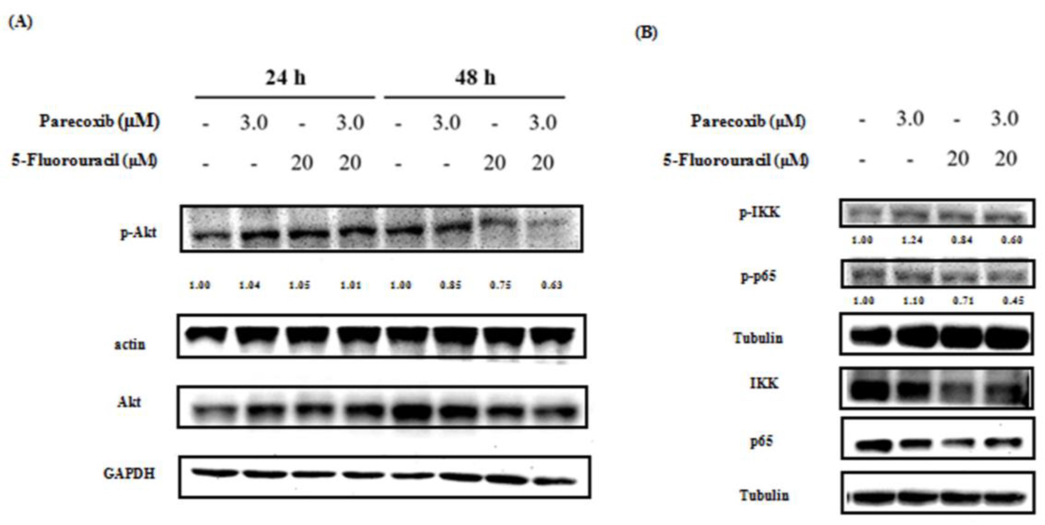 Preprints 107682 g006