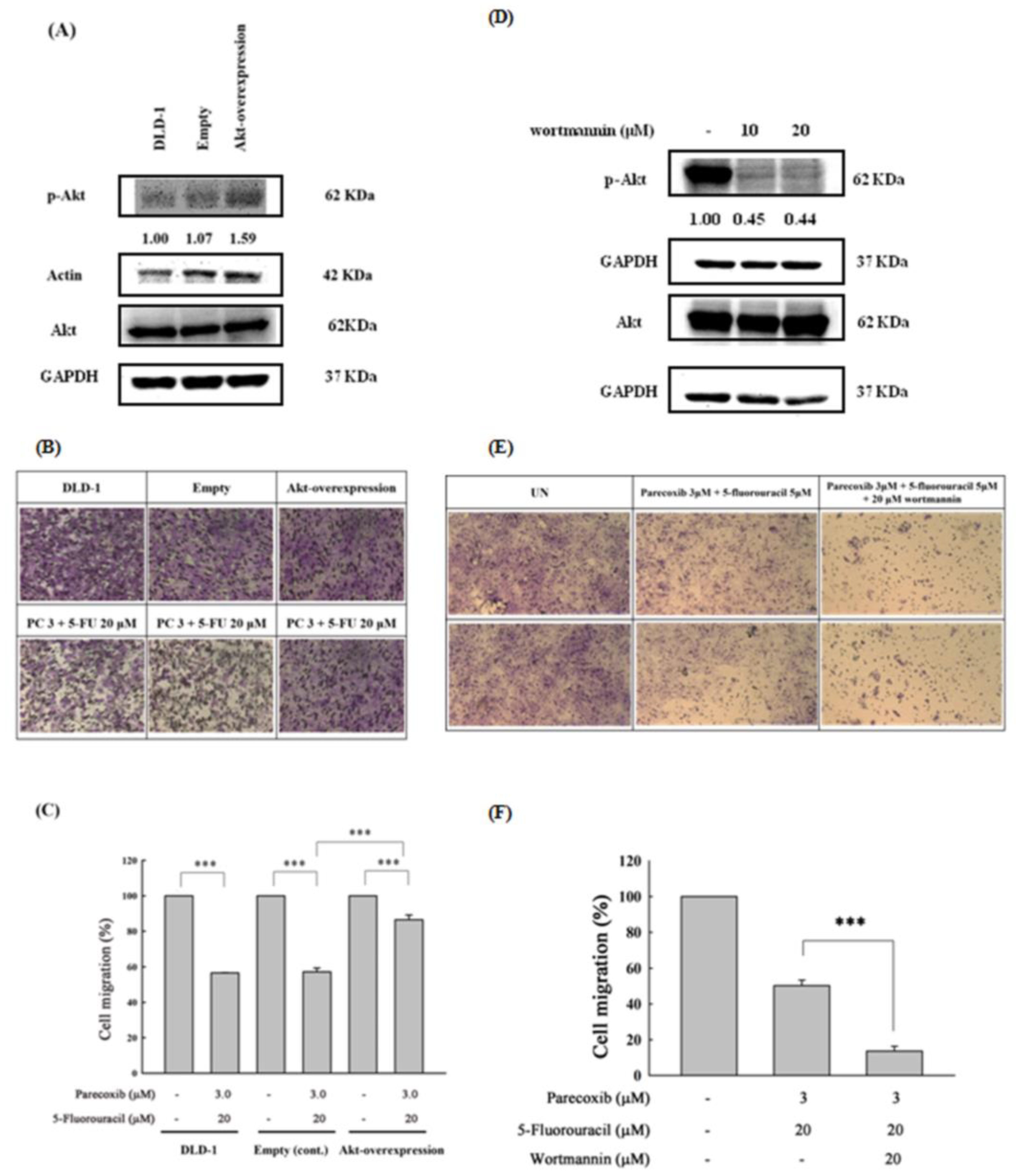 Preprints 107682 g007