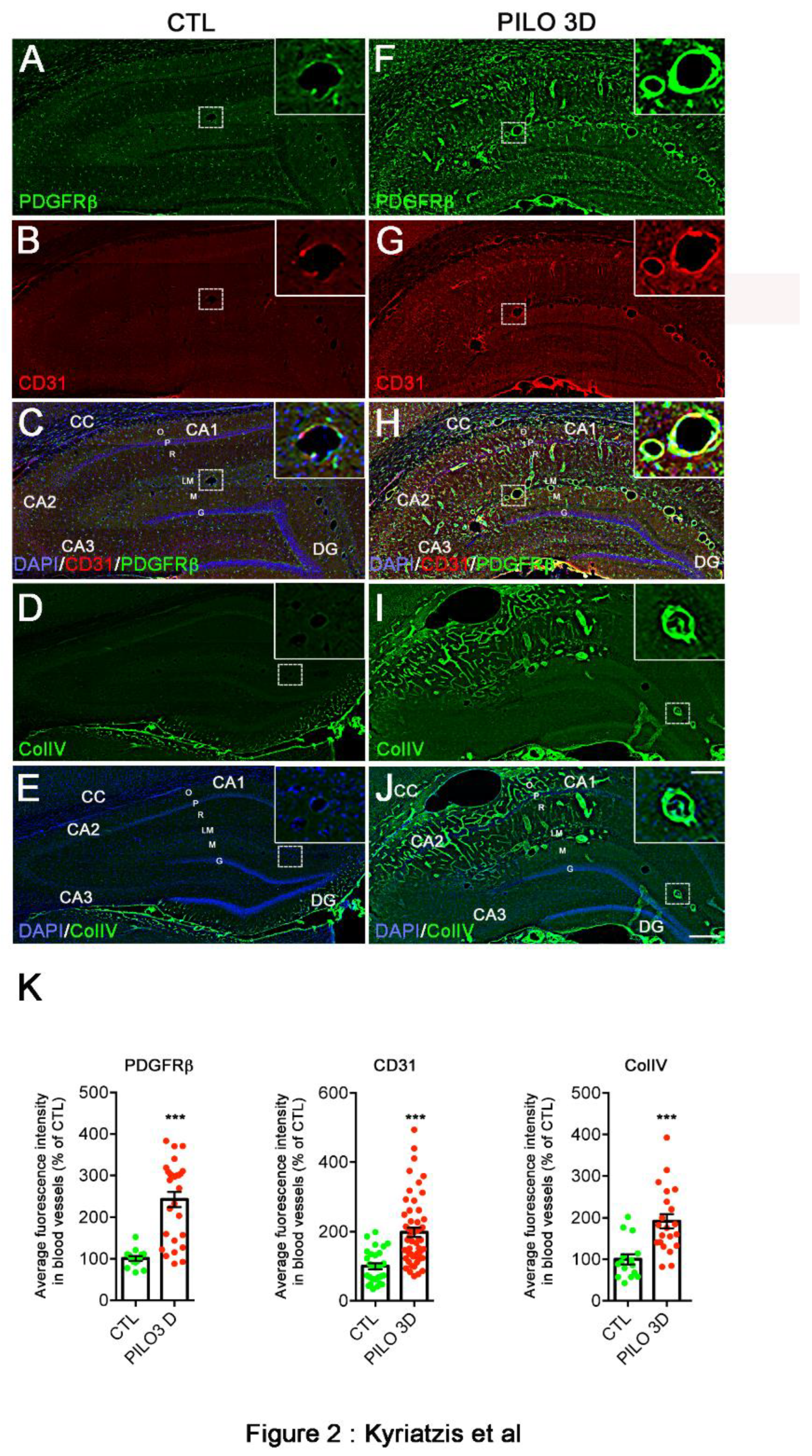 Preprints 96736 g002