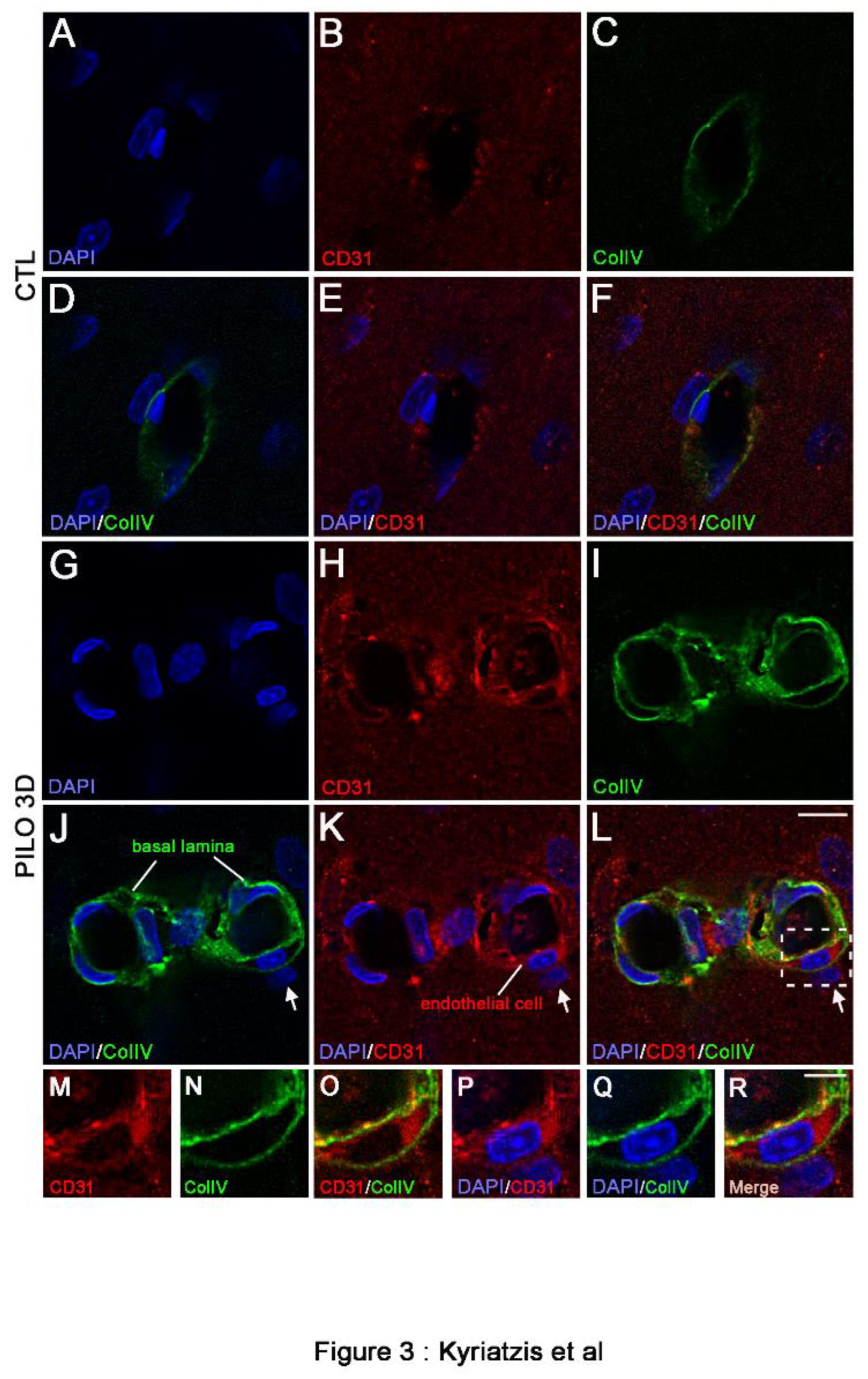 Preprints 96736 g003