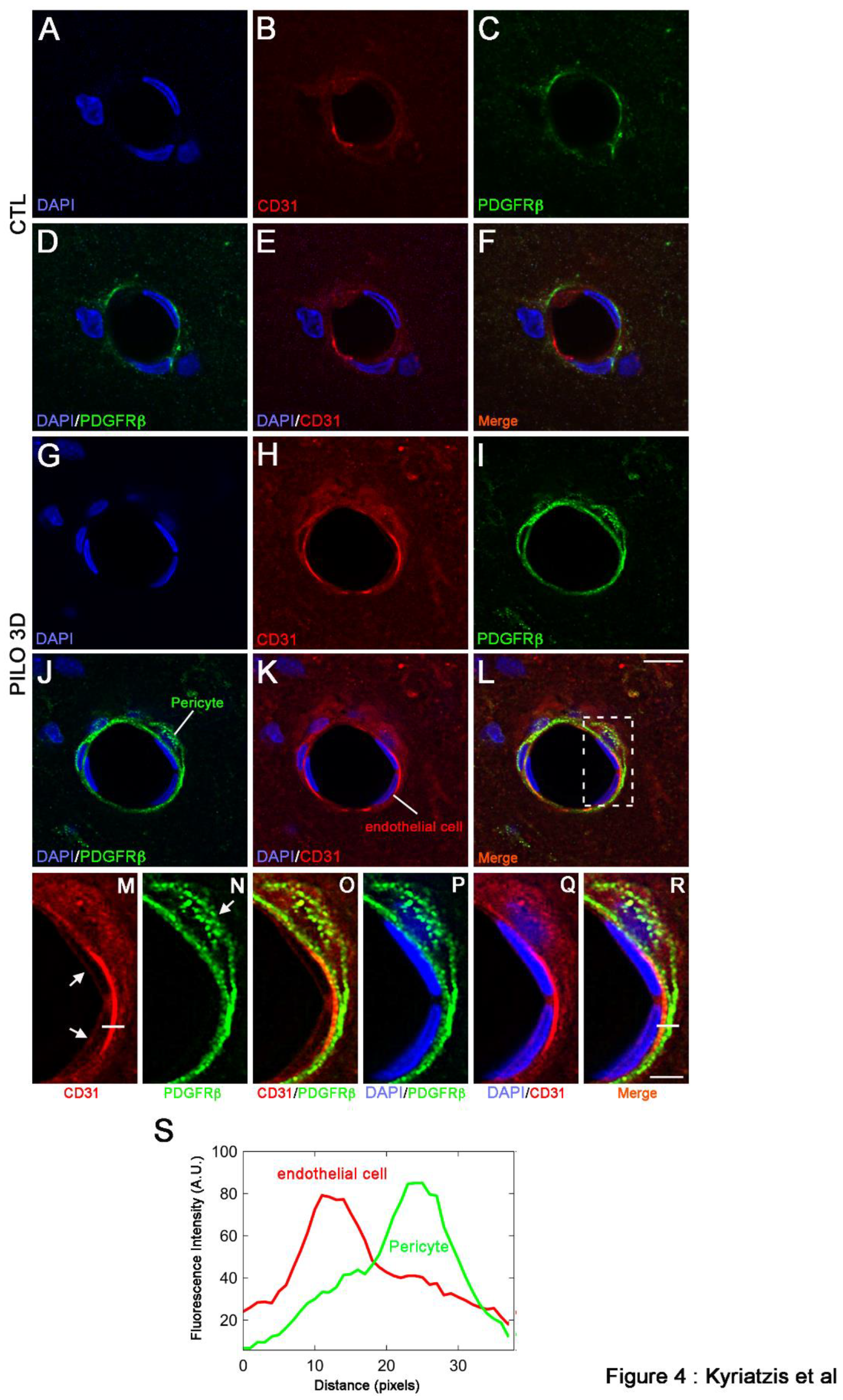 Preprints 96736 g004