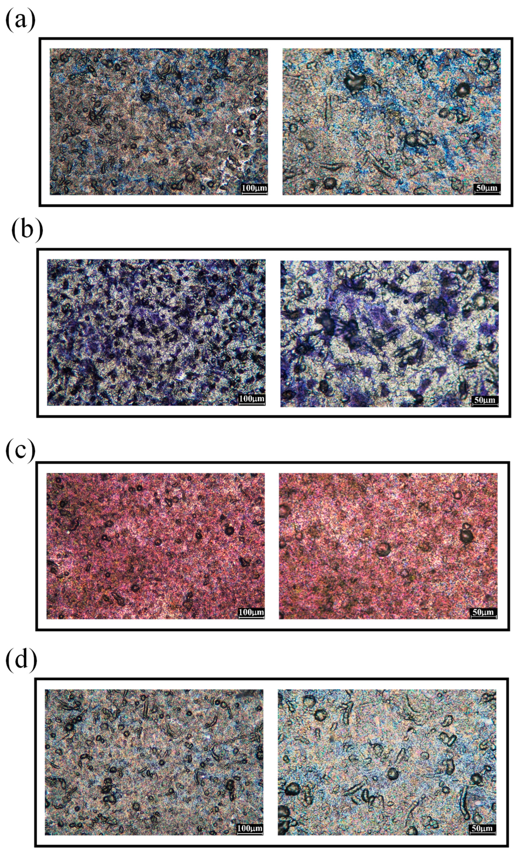 Preprints 86104 g006