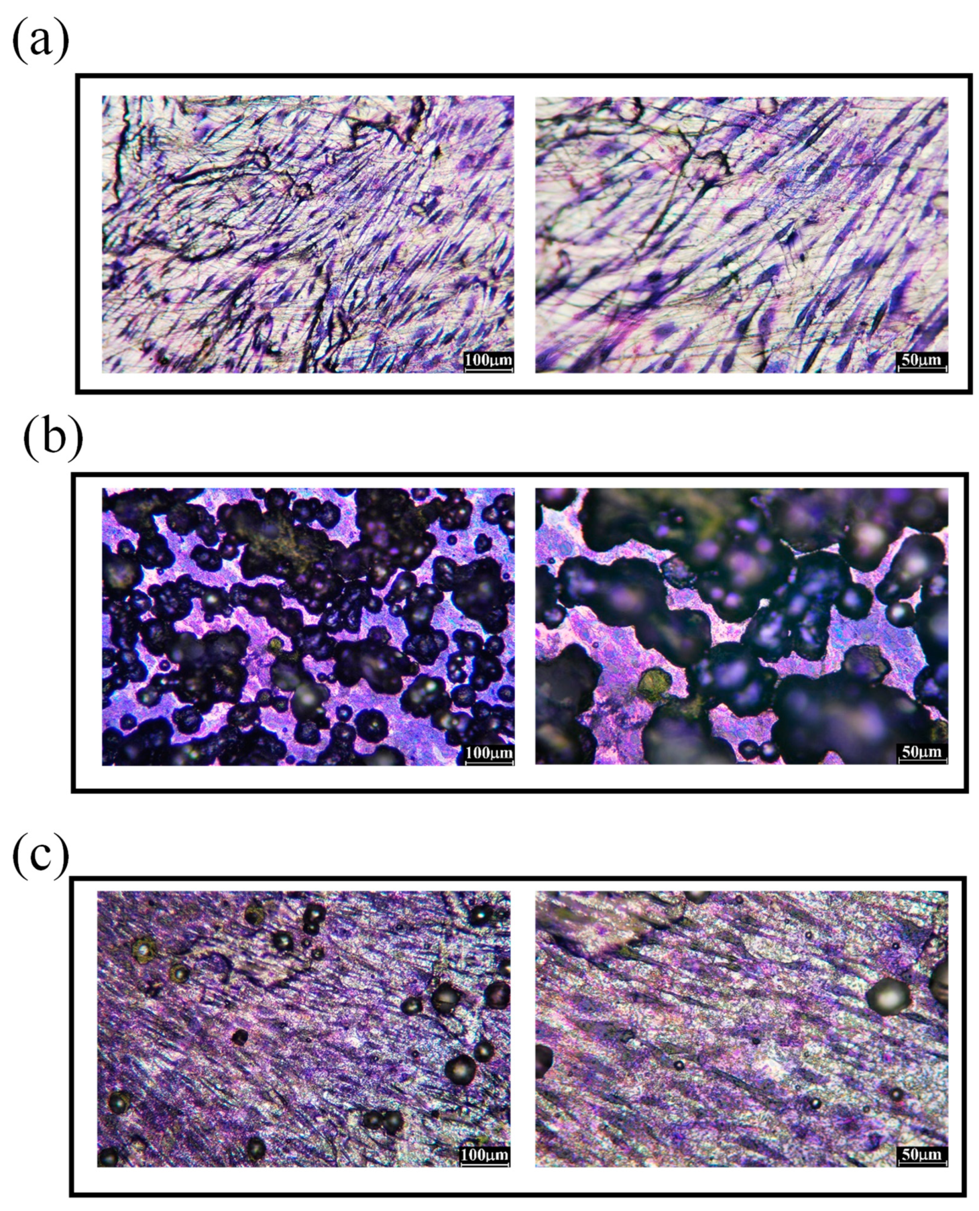 Preprints 86104 g007