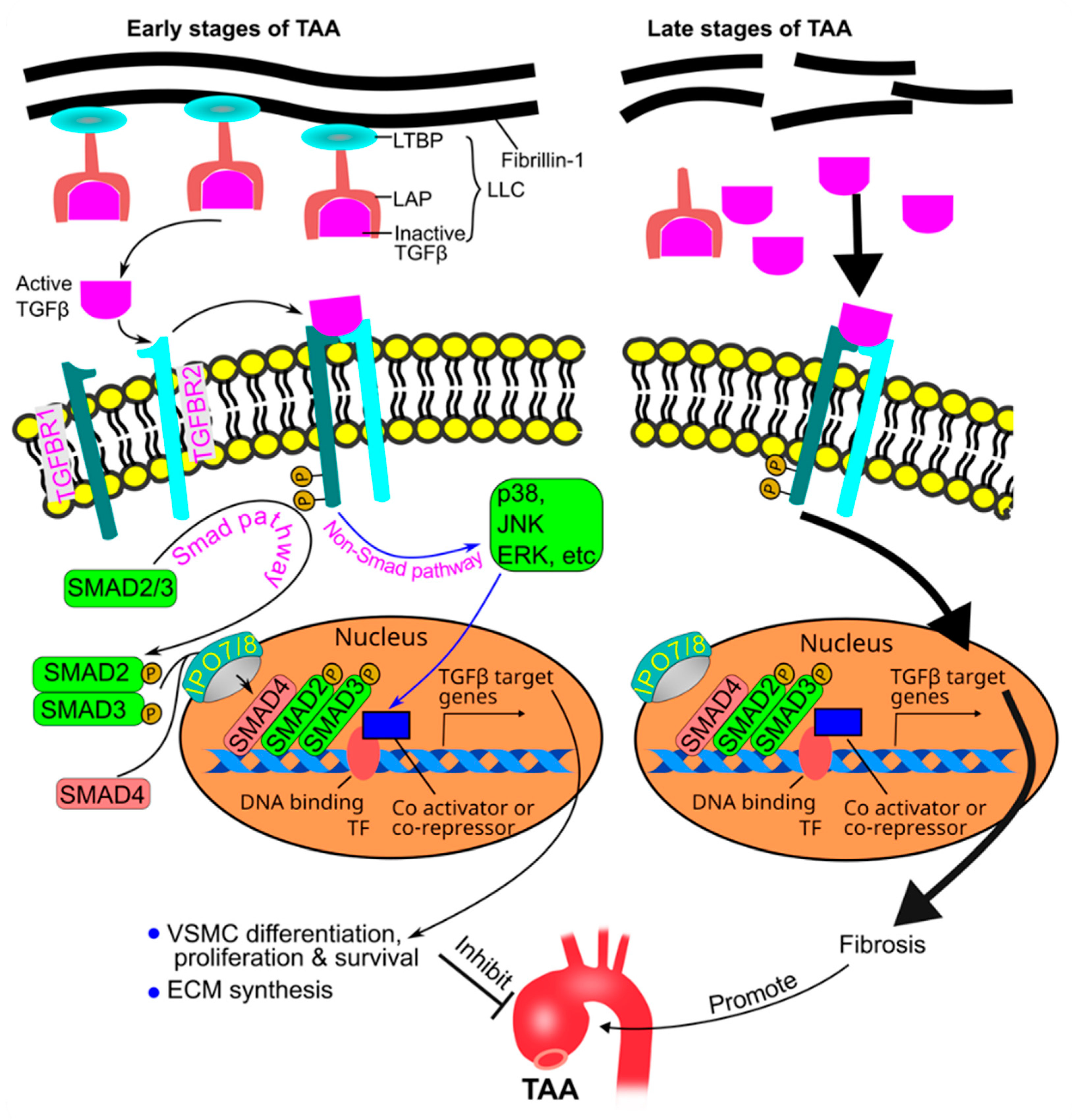 Preprints 93780 g007