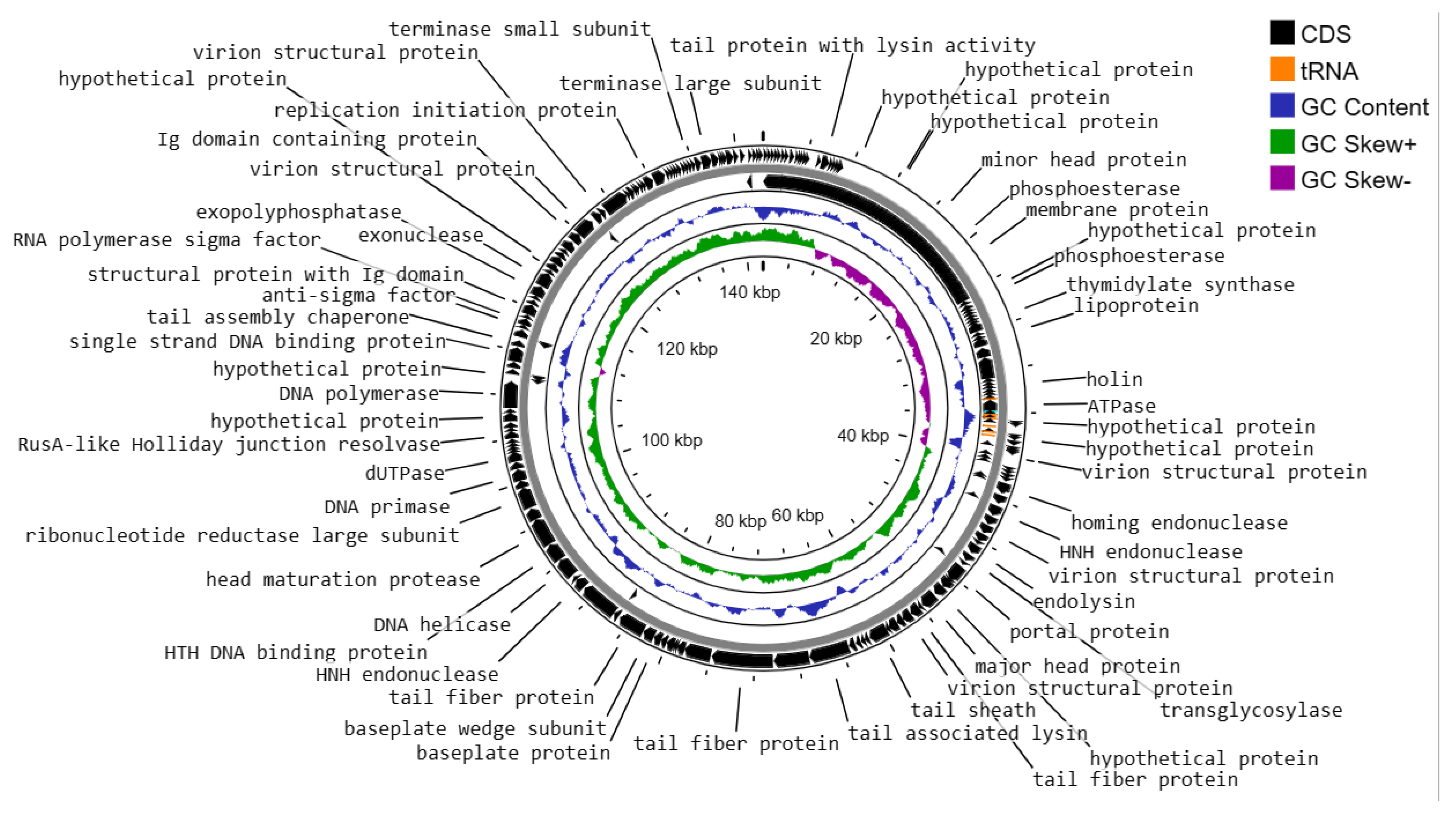 Preprints 104213 g005