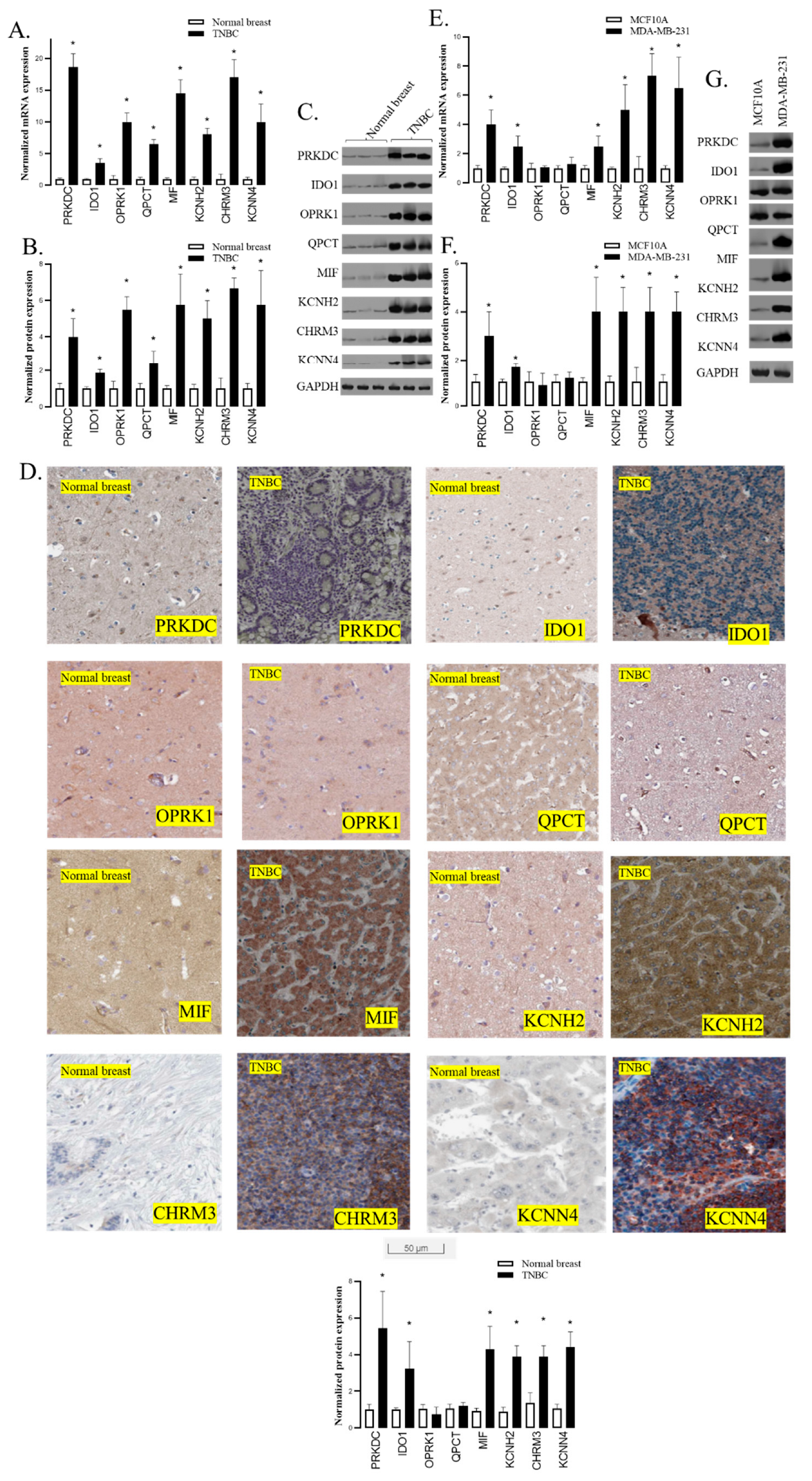 Preprints 98383 g002