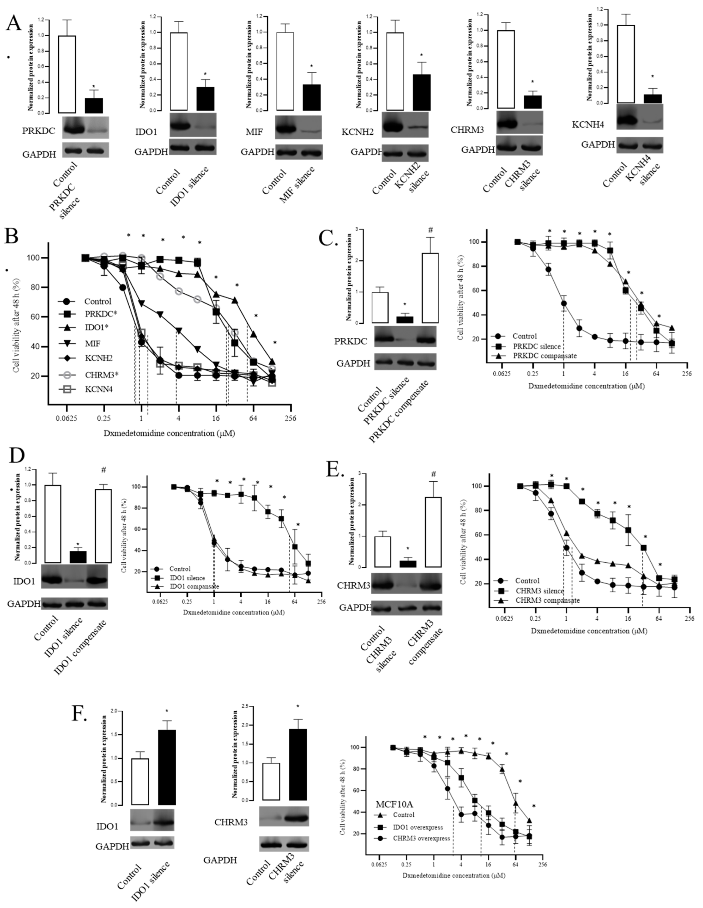 Preprints 98383 g003