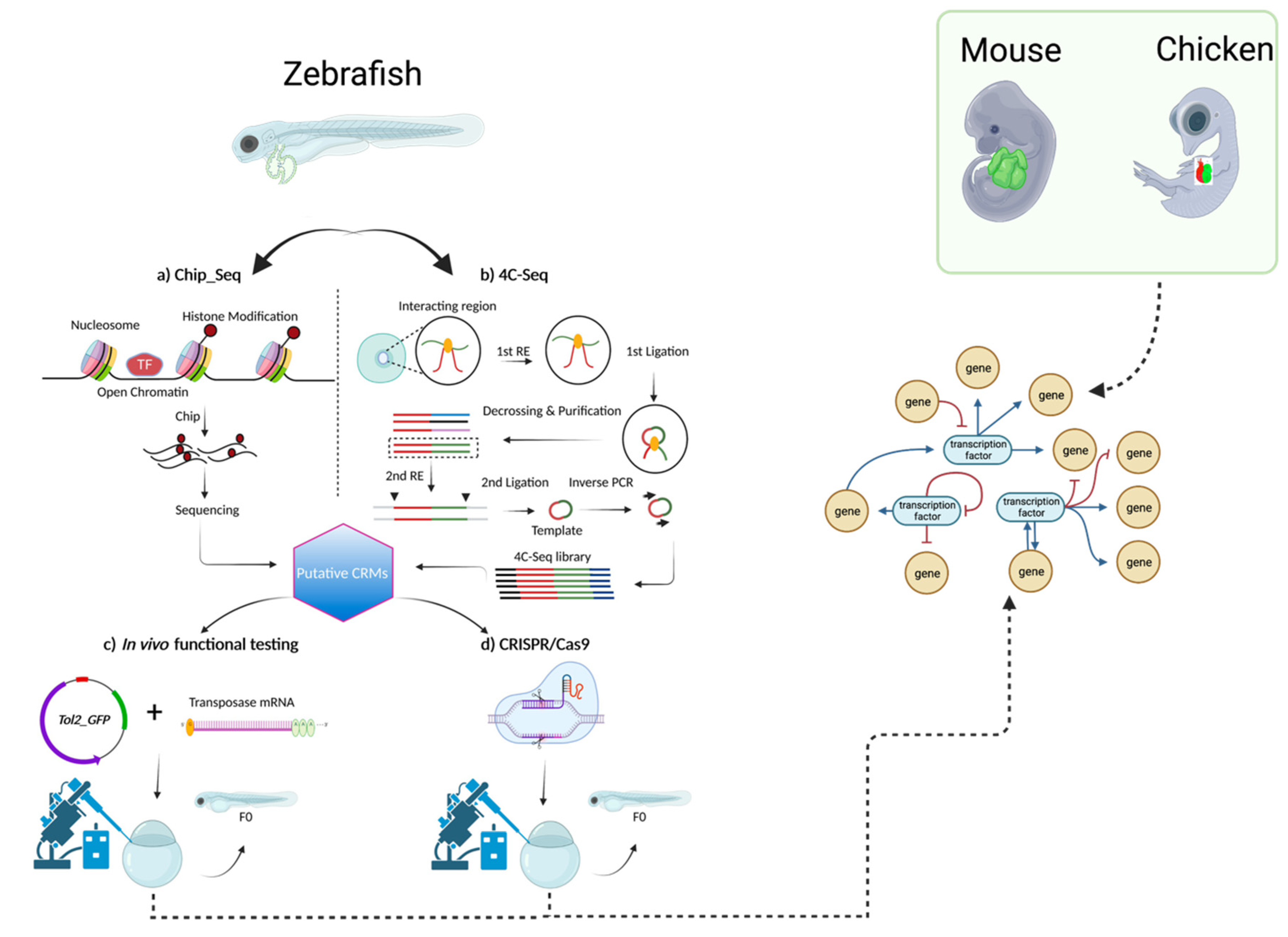 Preprints 78589 g002