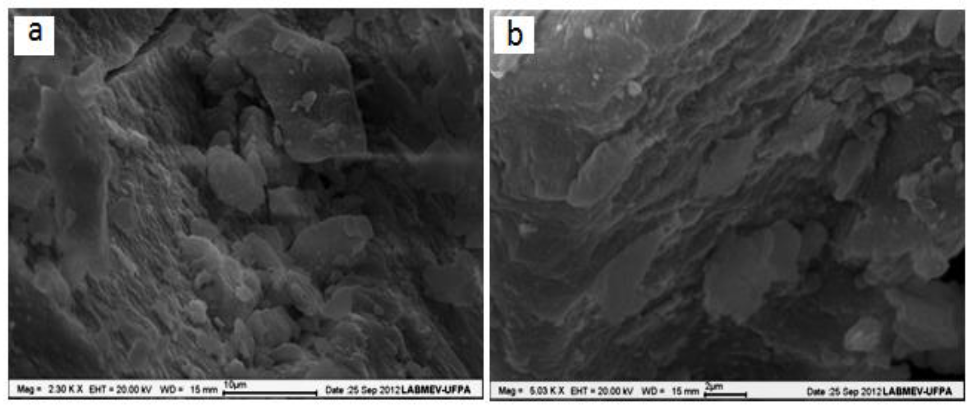 Preprints 102324 g002