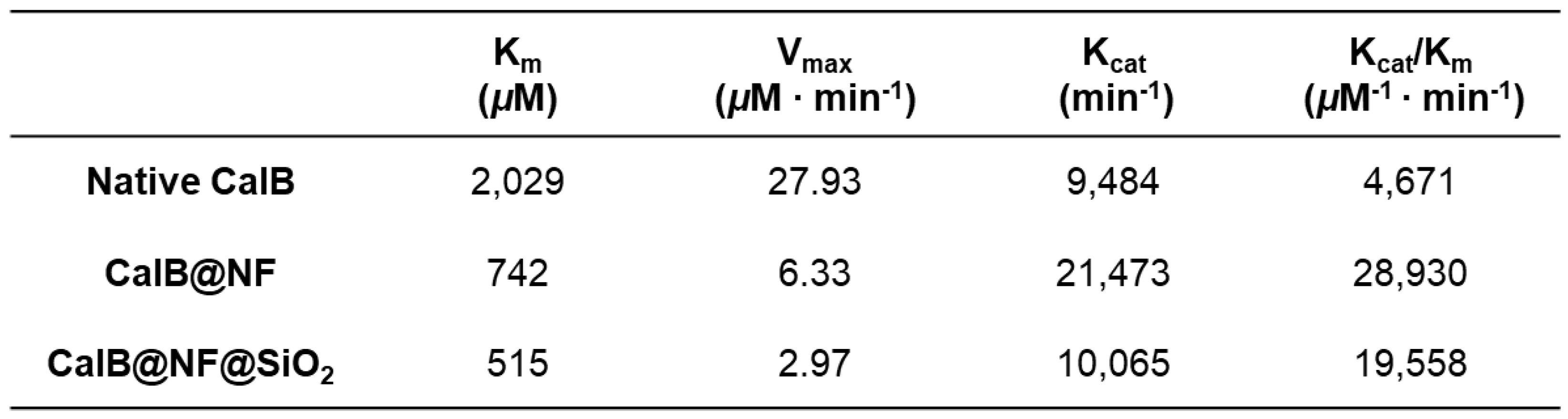 Preprints 73703 i001