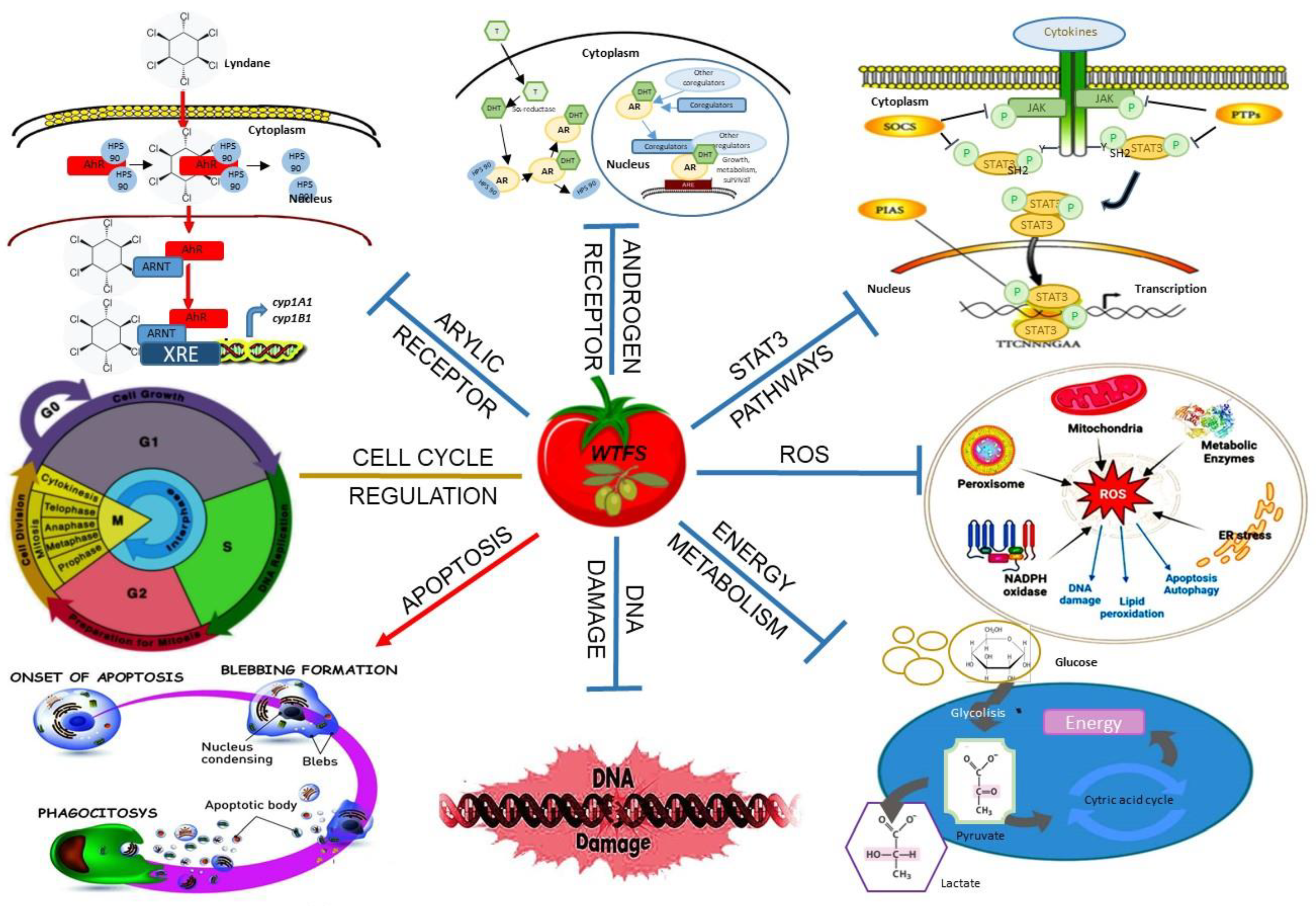 Preprints 116424 g001