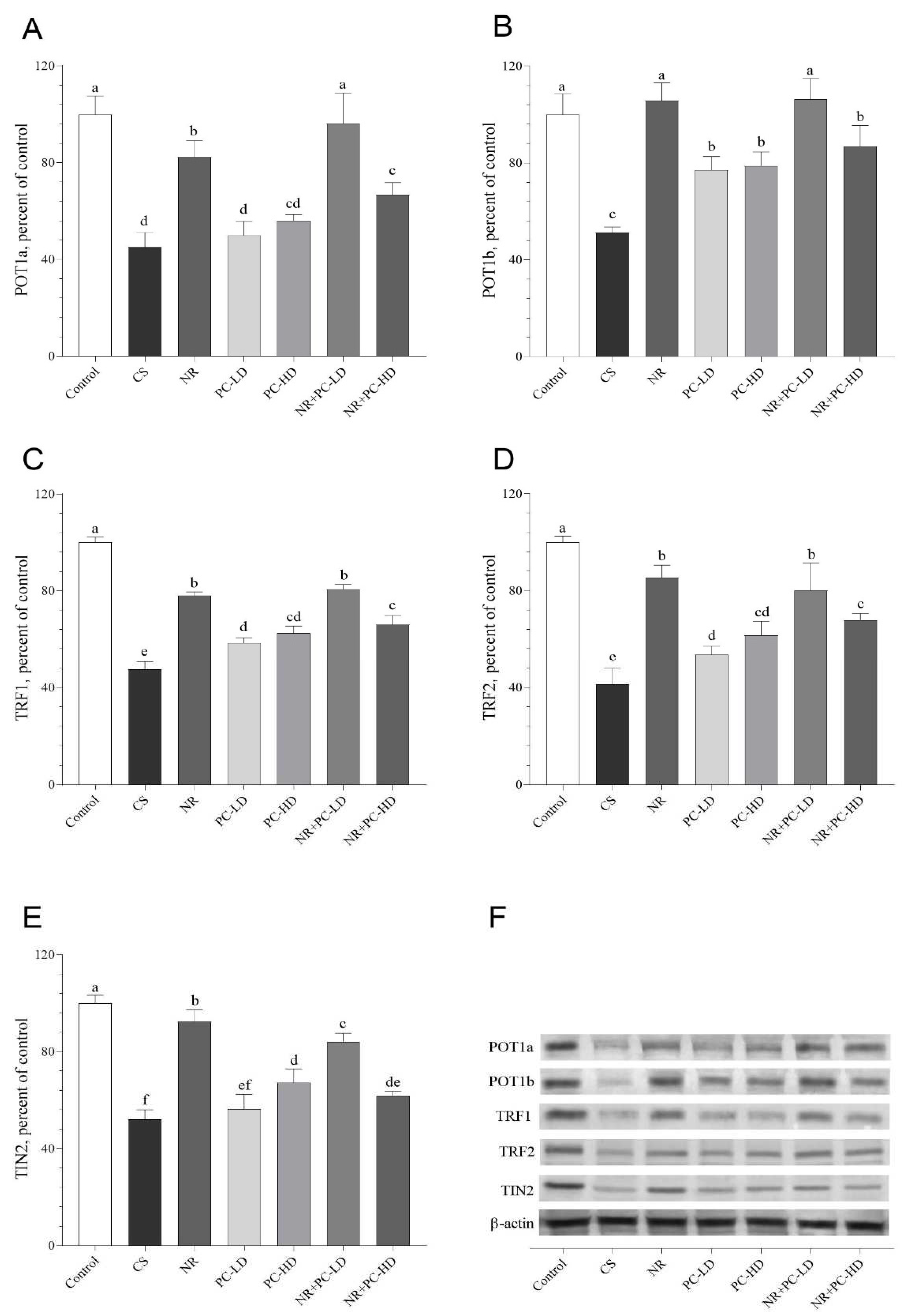 Preprints 85459 g003