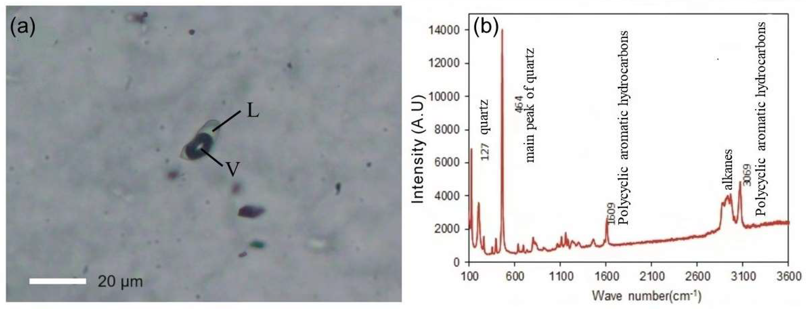 Preprints 95218 g002