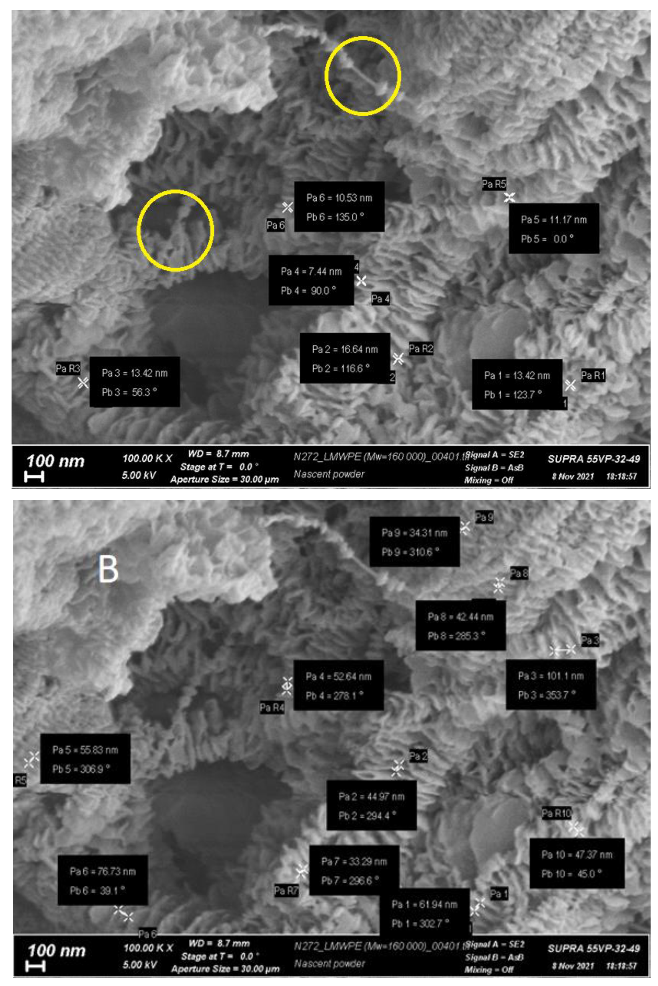 Preprints 81394 g002