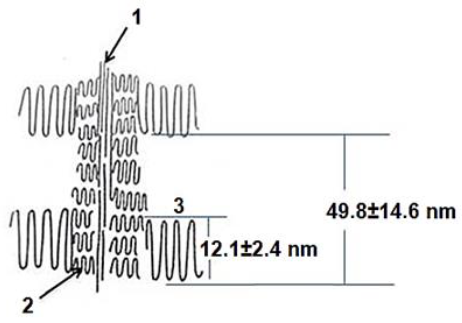 Preprints 81394 g003