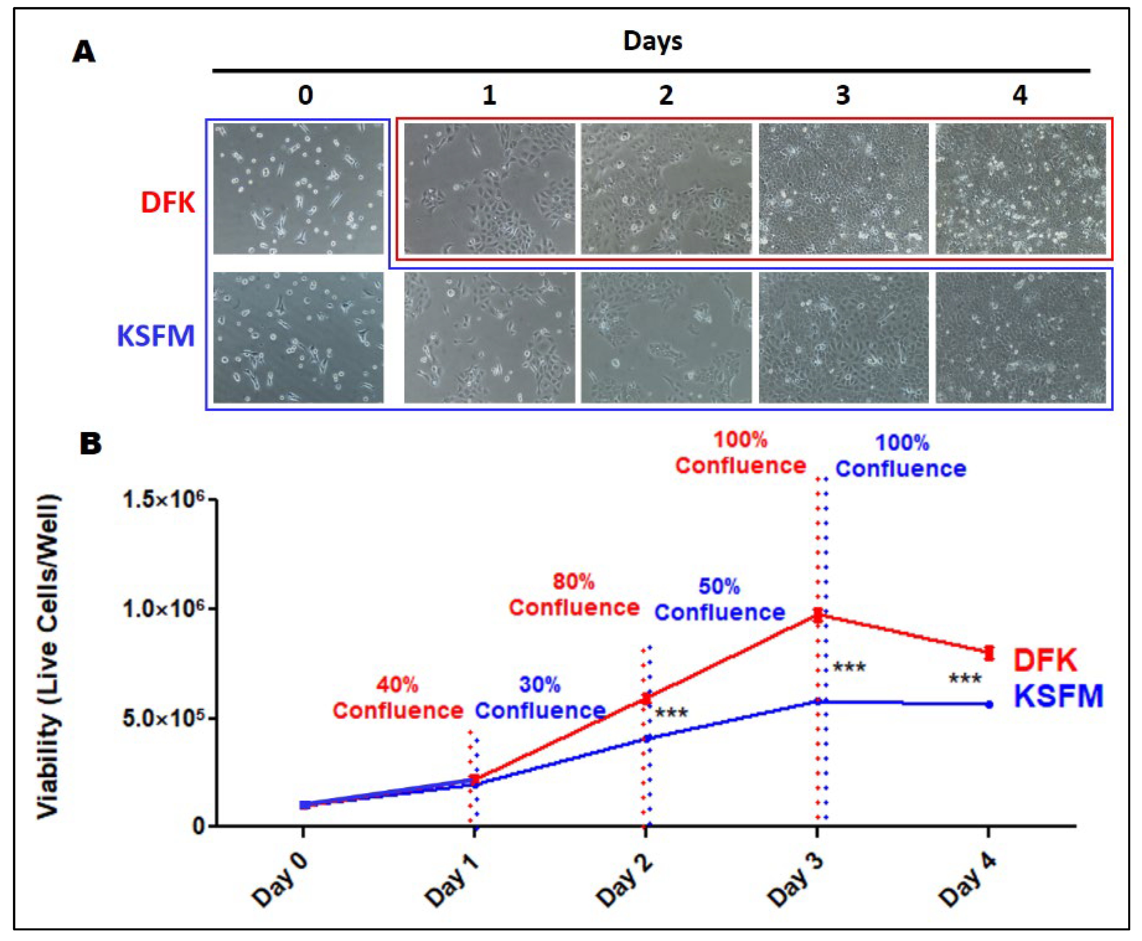 Preprints 67061 g002