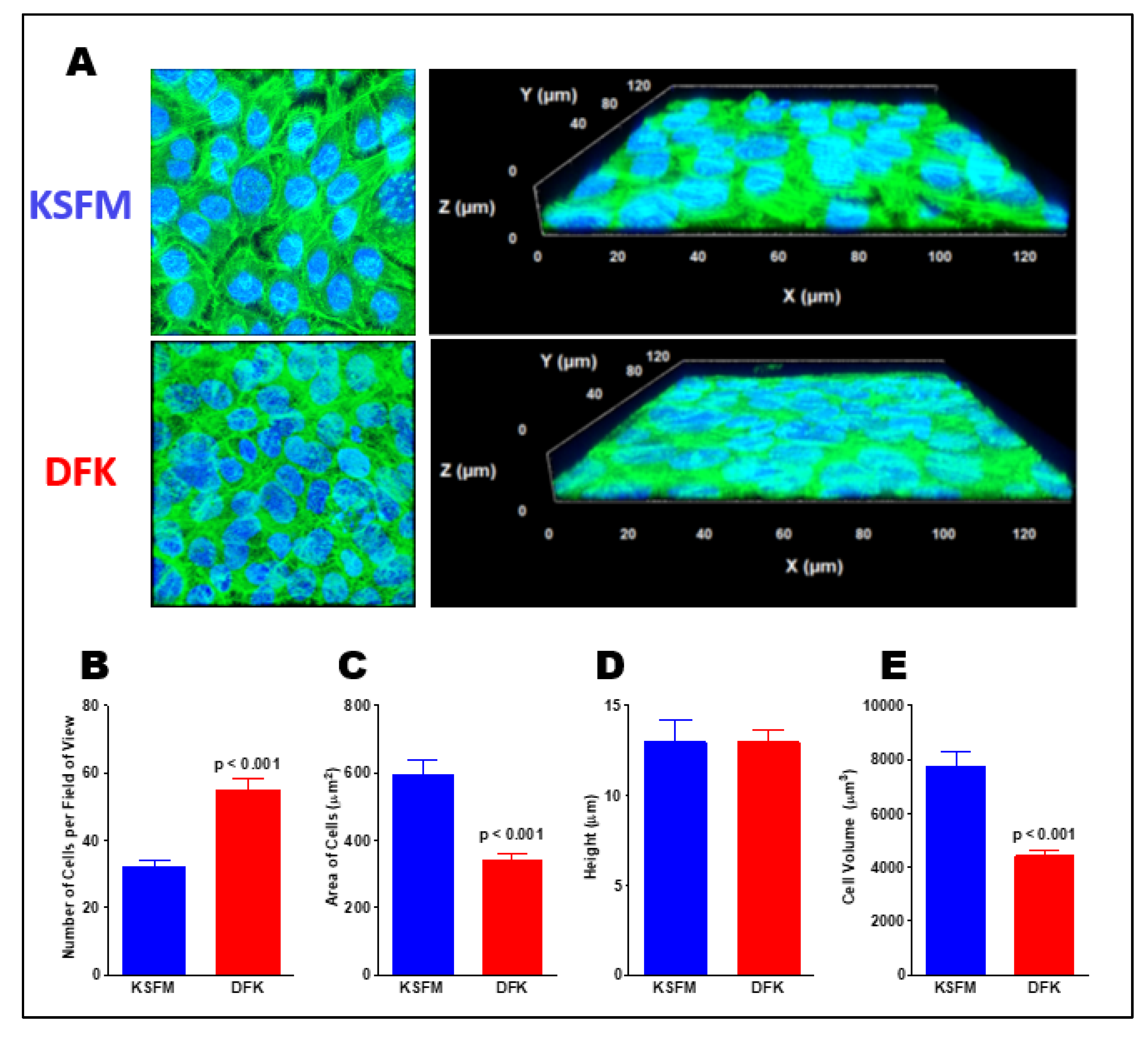 Preprints 67061 g003