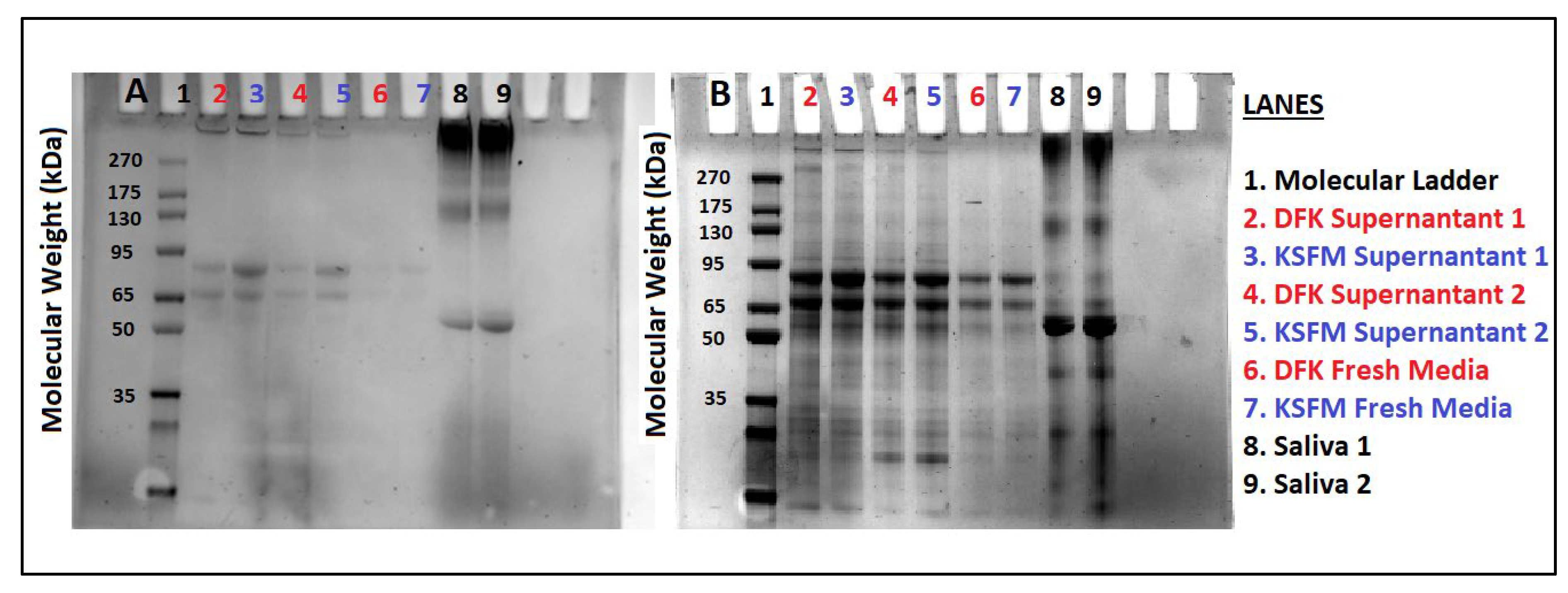 Preprints 67061 g005